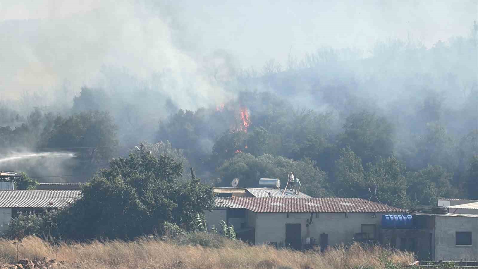 Bodrum’da makilik alanda yangın paniği