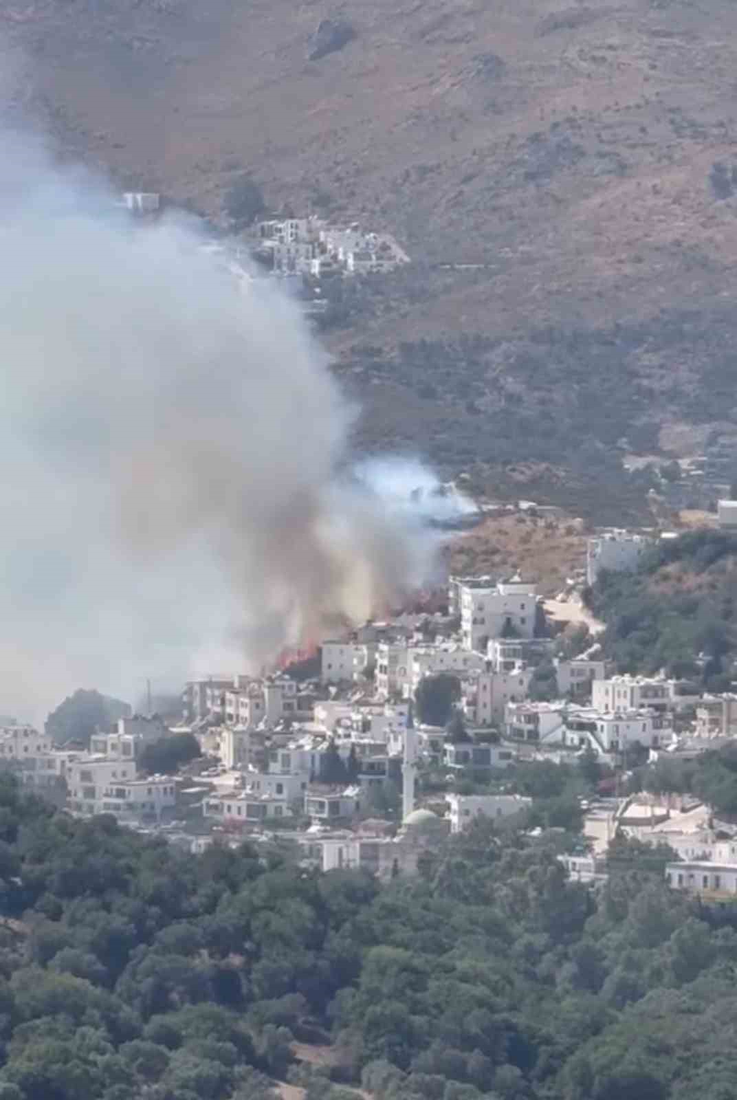 Bodrum&rsquo;da makilik alanda yangın paniği
