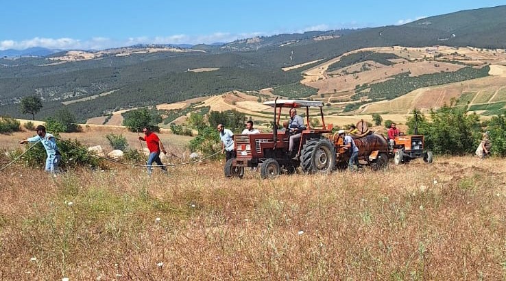 Vezirköprü’de buğday tarlasında yangın: 30 dönüm alan kül oldu