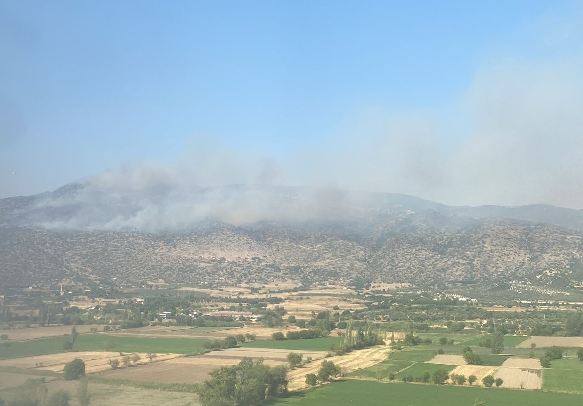 Bozdoğan’da makilik yangını