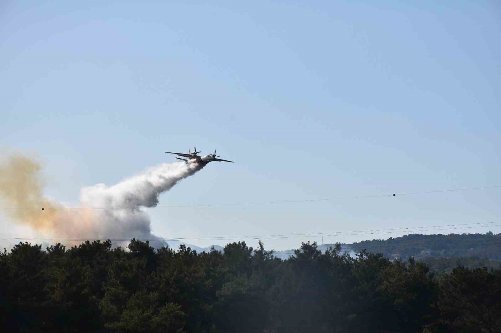 Bornova’daki orman yangını soruşturmasında 2 tutuklama