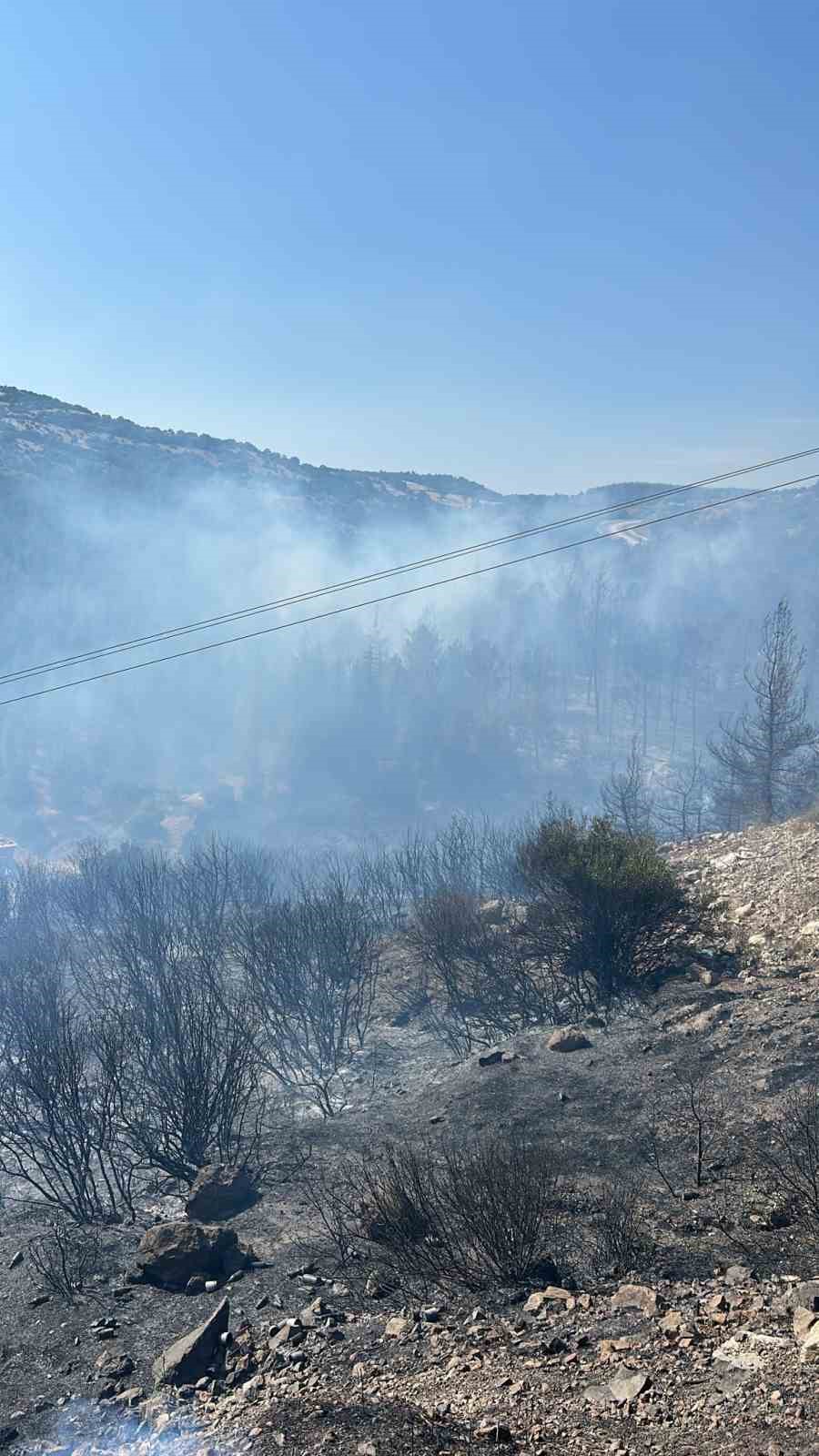 Bigadi&ccedil; &Ccedil;amk&ouml;y&rsquo;de orman yangını

