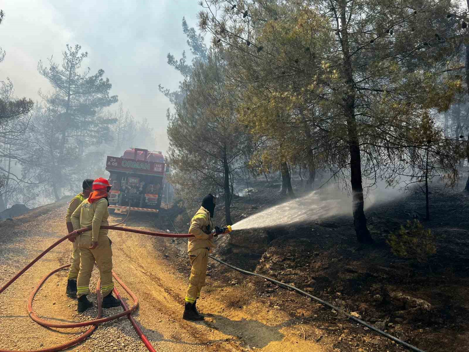 Sakarya’da başlayan orman yangını Osmaneli’ne de sıçradı