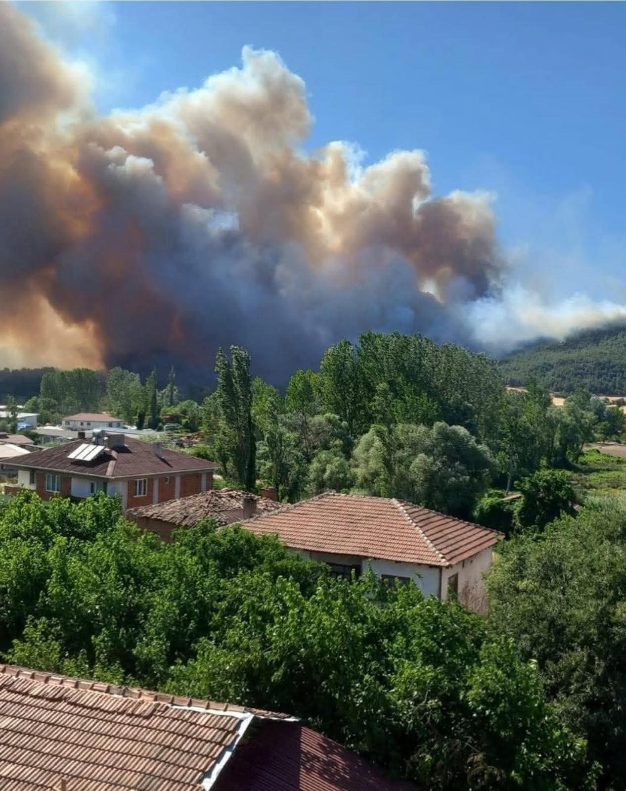Sakarya&rsquo;da başlayan orman yangını Osmaneli&rsquo;ne de sı&ccedil;radı
