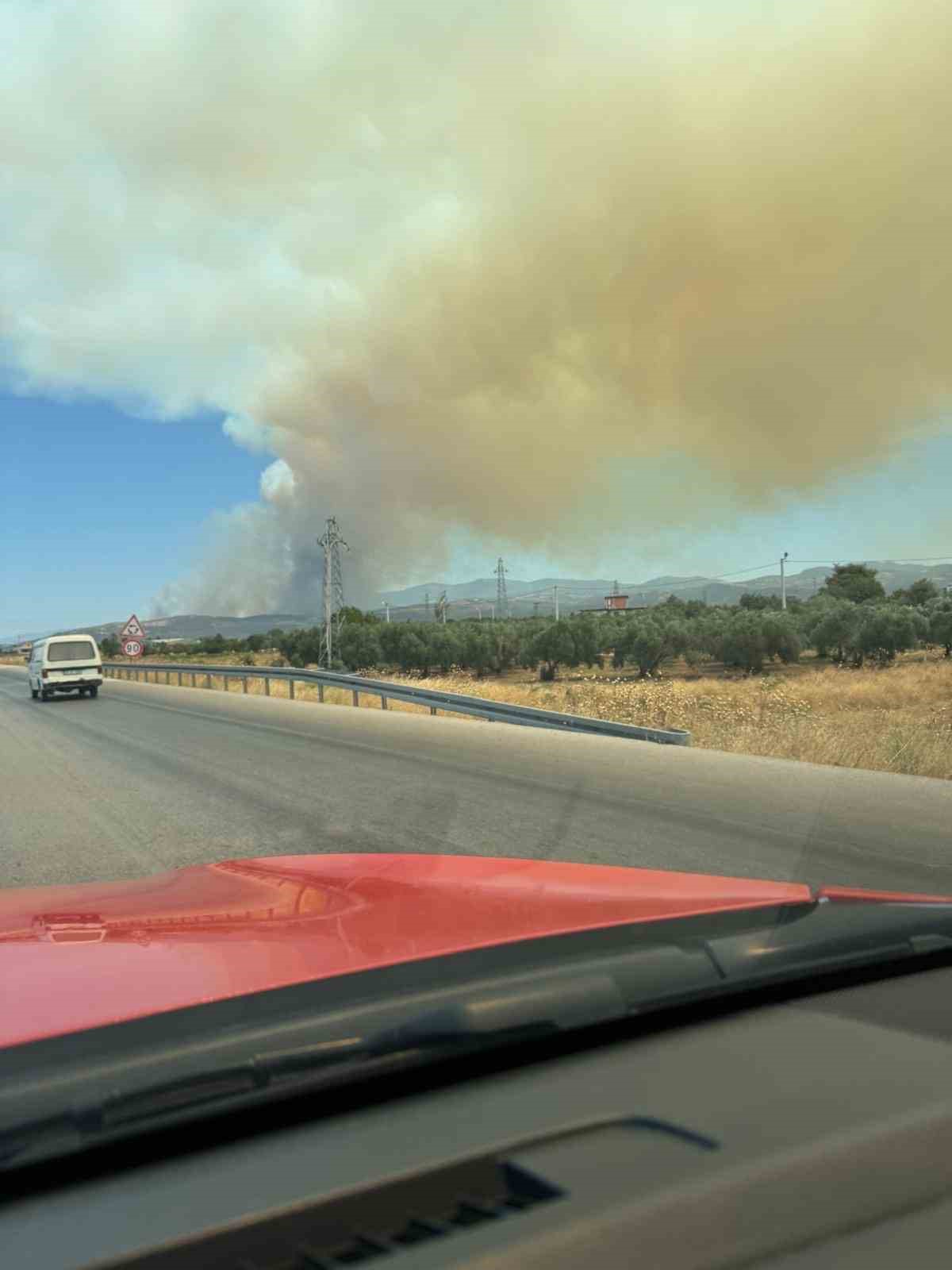 Akhisar&rsquo;daki orman yangınıyla ilgili 1 g&ouml;zaltı
