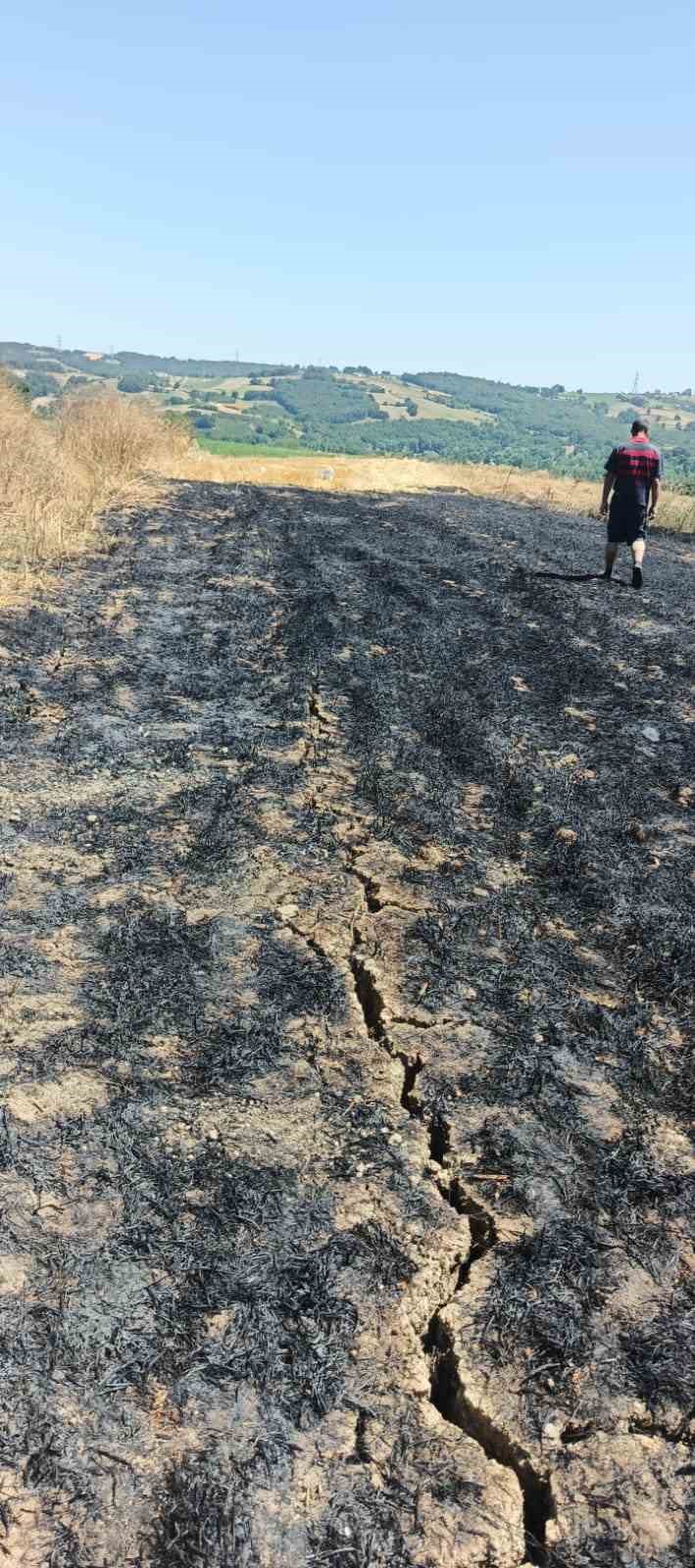 Sakarya’da yangın: 200 saman balyası yandı, çiftçiler traktörleriyle müdahale etti

