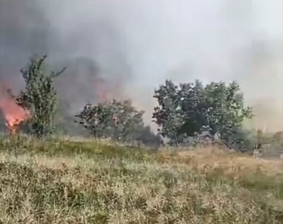 Düzce’de orman yangını: 5 hektarlık alan küle döndü