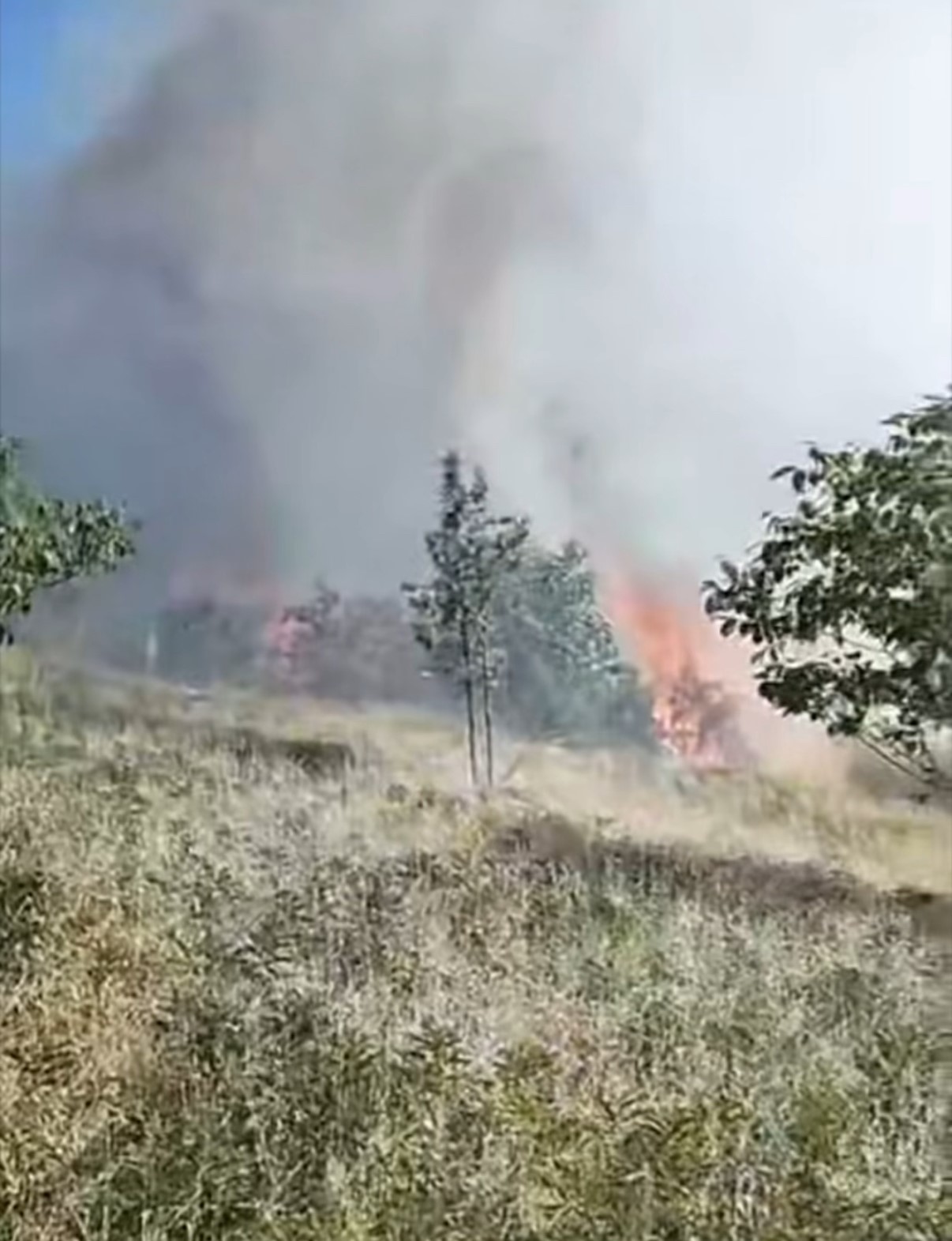 D&uuml;zce&rsquo;de orman yangını: 5 hektarlık alan k&uuml;le d&ouml;nd&uuml;
