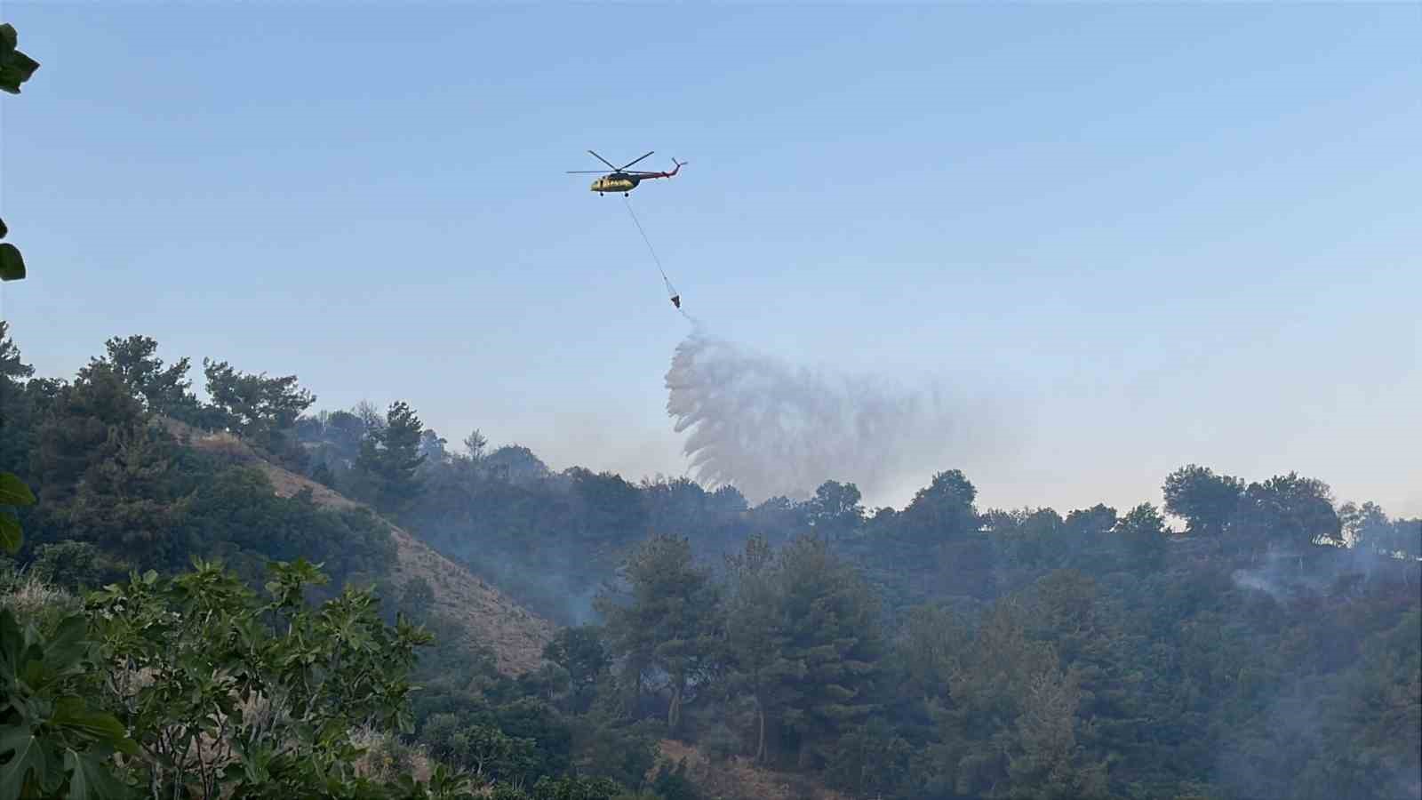 Horozköy yangını kısmen kontrol altına alındı