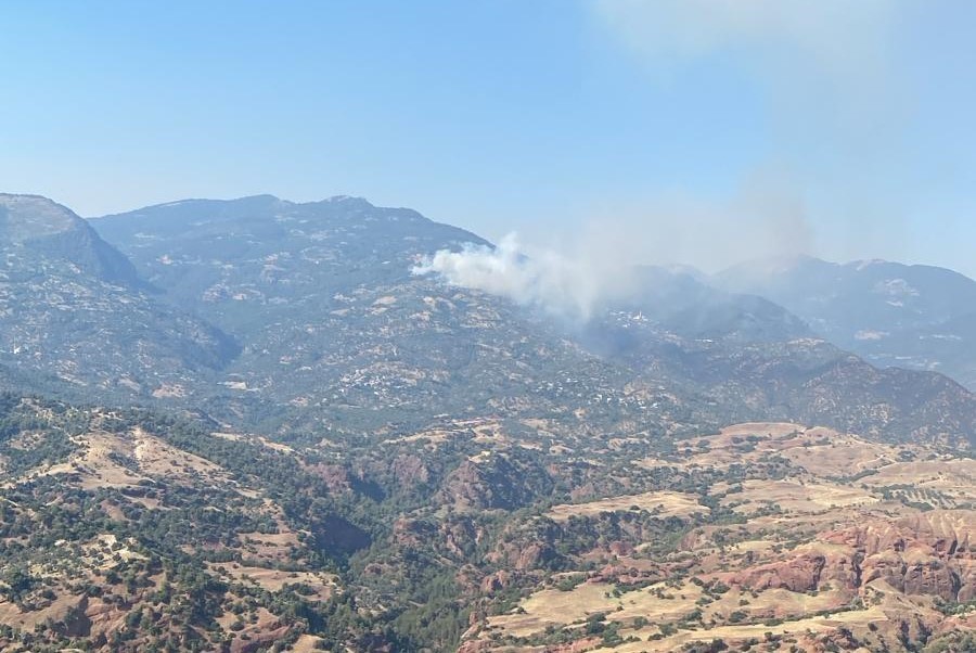 Horozk&ouml;y yangını kısmen kontrol altına alındı
