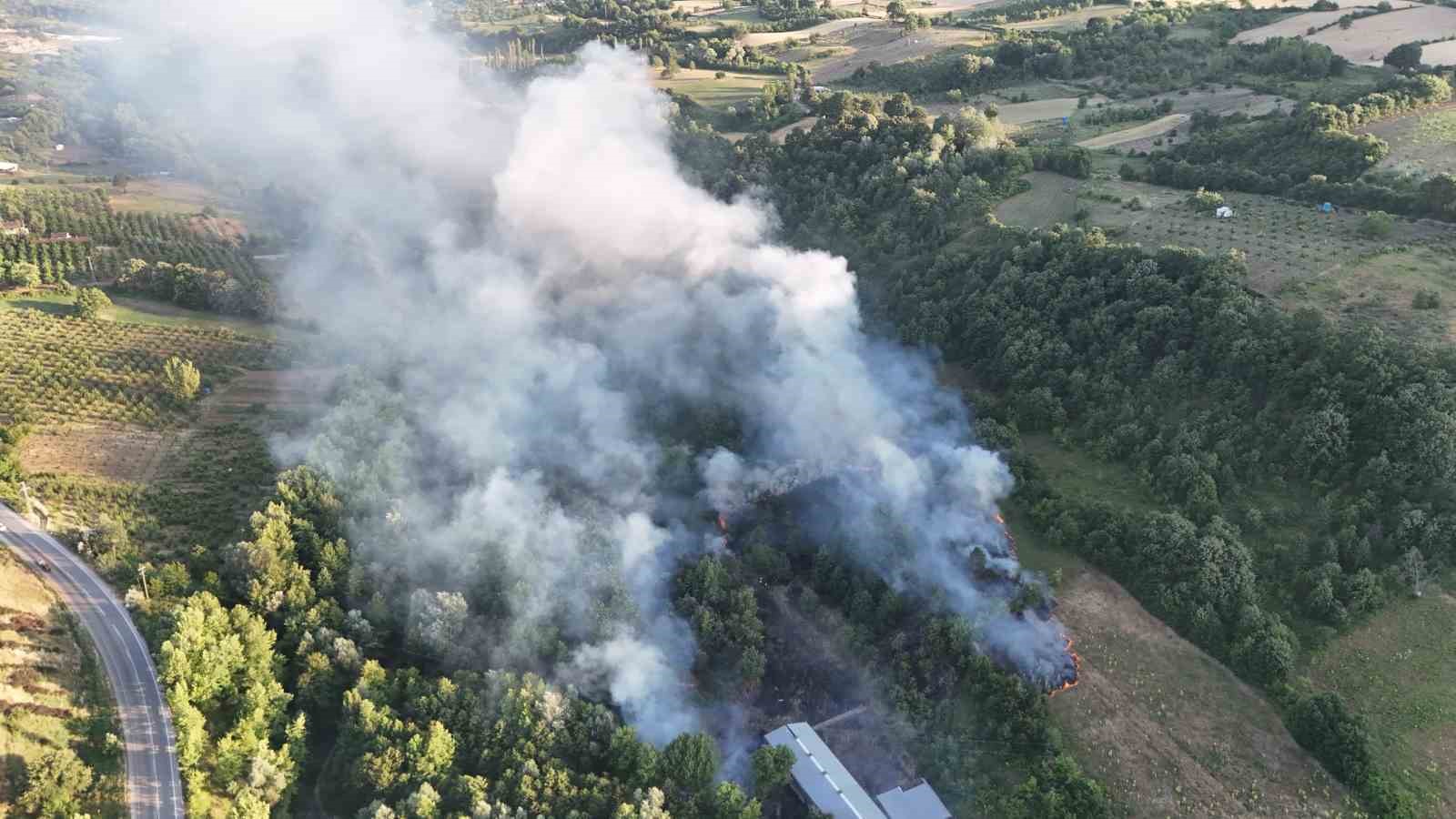 Bursa’da çöplükte çıkan yangın ormana sıçradı