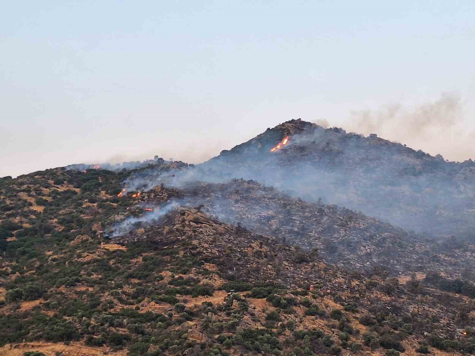 Bozdoğan’da makilik yangınına yoğun müdahale