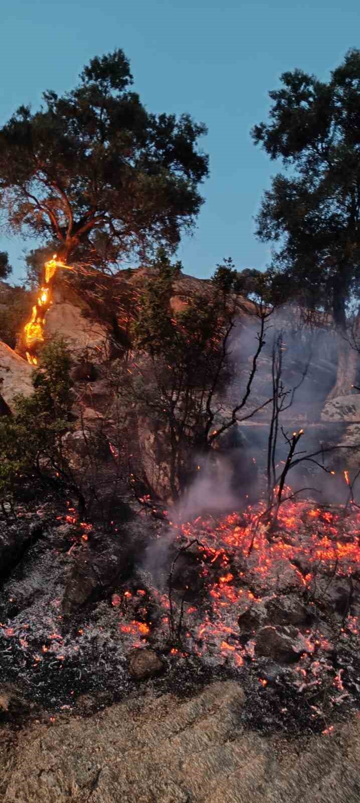 Bozdoğan&rsquo;da makilik yangınına yoğun m&uuml;dahale
