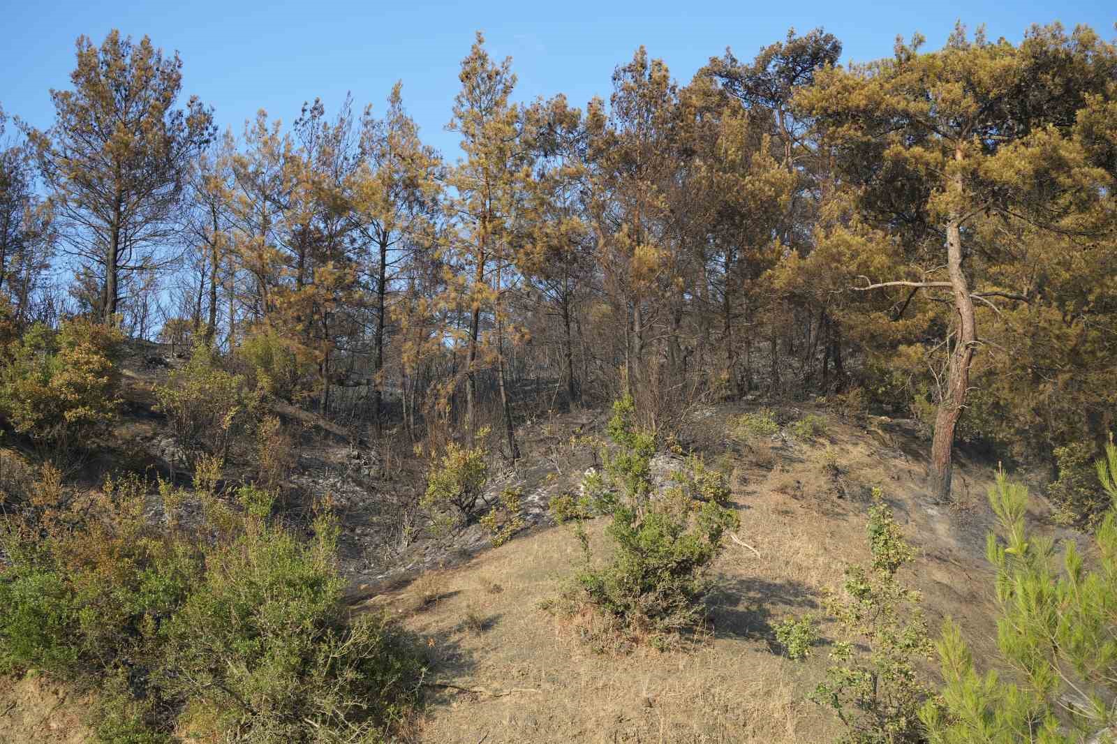 Havran&rsquo;daki orman yangınında havadan m&uuml;dahaleye ara verildi
