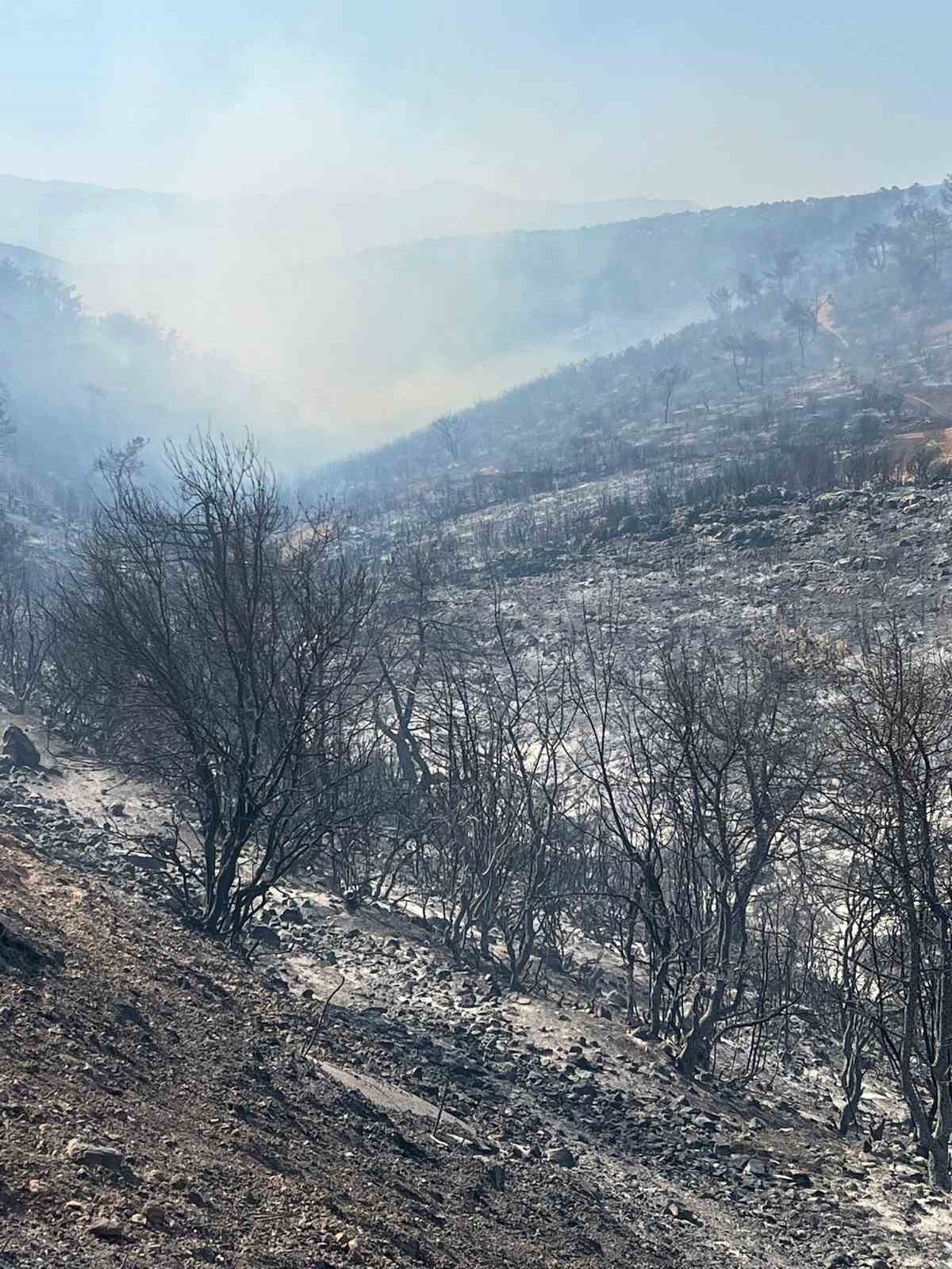 Gaziantep&rsquo;teki orman yangını 7 saat sonra s&ouml;nd&uuml;r&uuml;ld&uuml;
