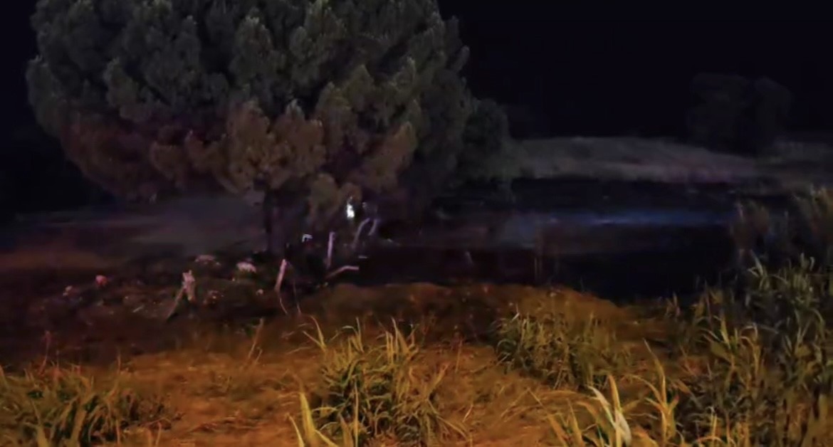 Düğünden atılan havai fişek ormanı yaktı, salon boşaltıldı