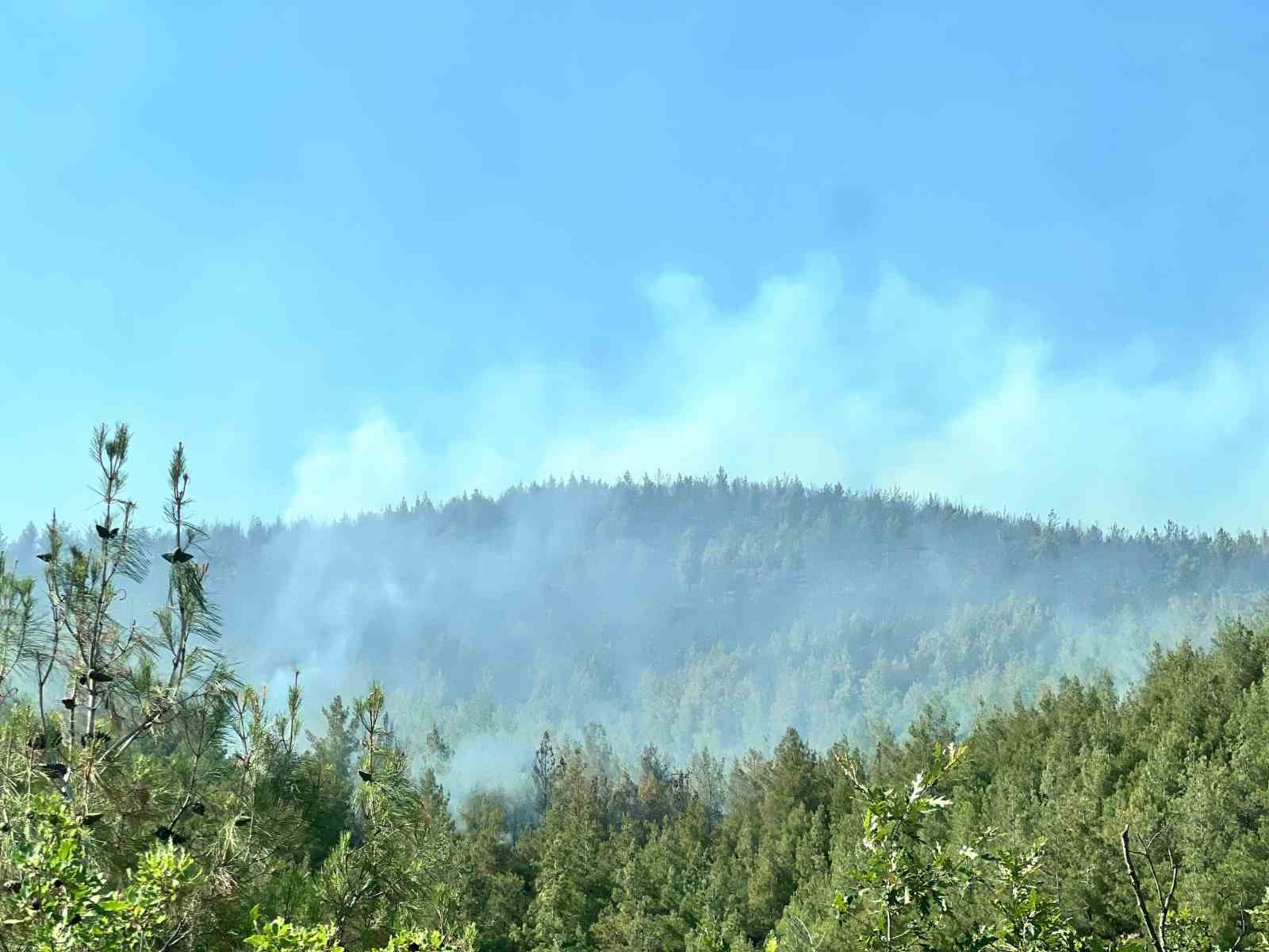 Kahramanmaraş’taki ikinci orman yangını da kontrol altında