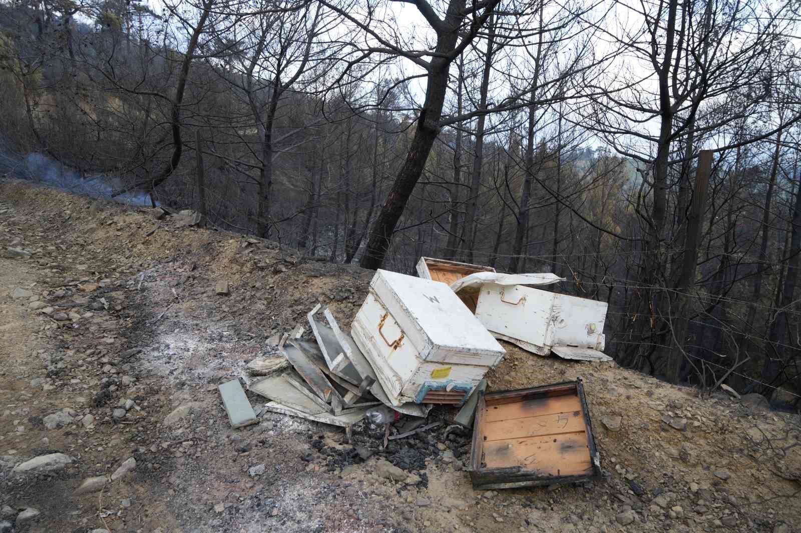 Balıkesir Havran’daki yangında havadan müdahale sabahın ilk ışıklarıyla tekrar başladı