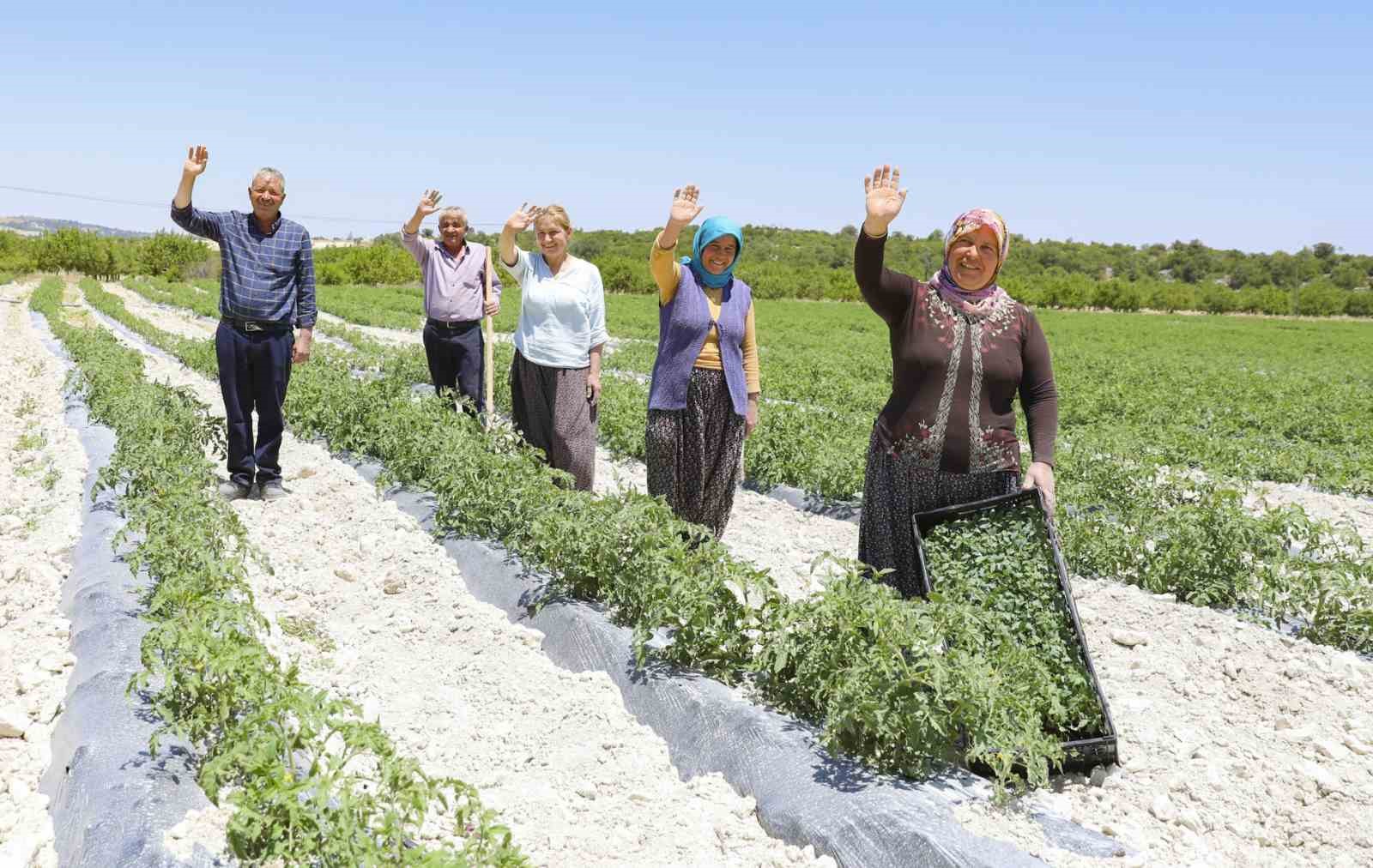 Mersin’de tarım destekleri üreticiyi sevindiriyor
