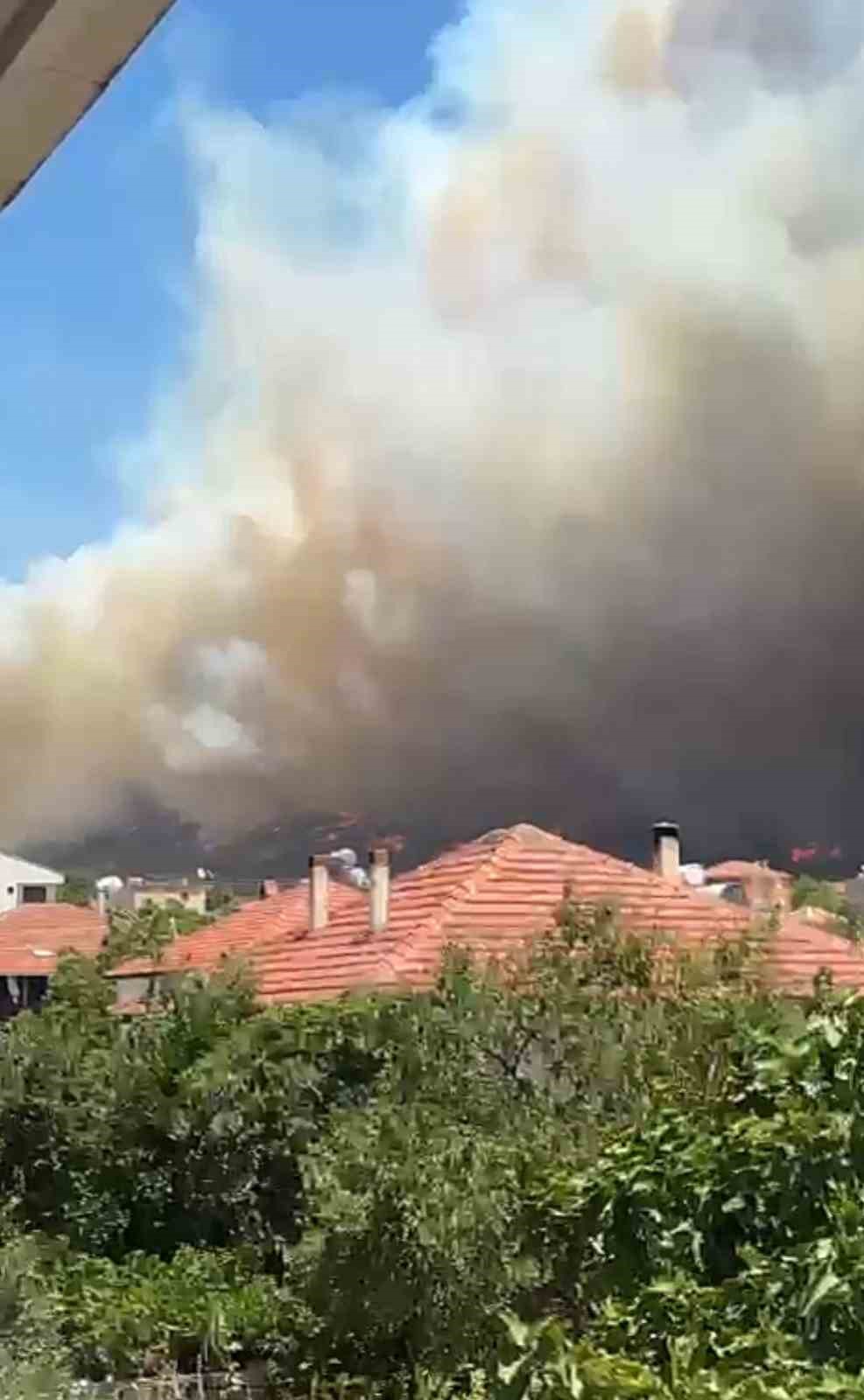 İzmir Menderes’te orman yangını
