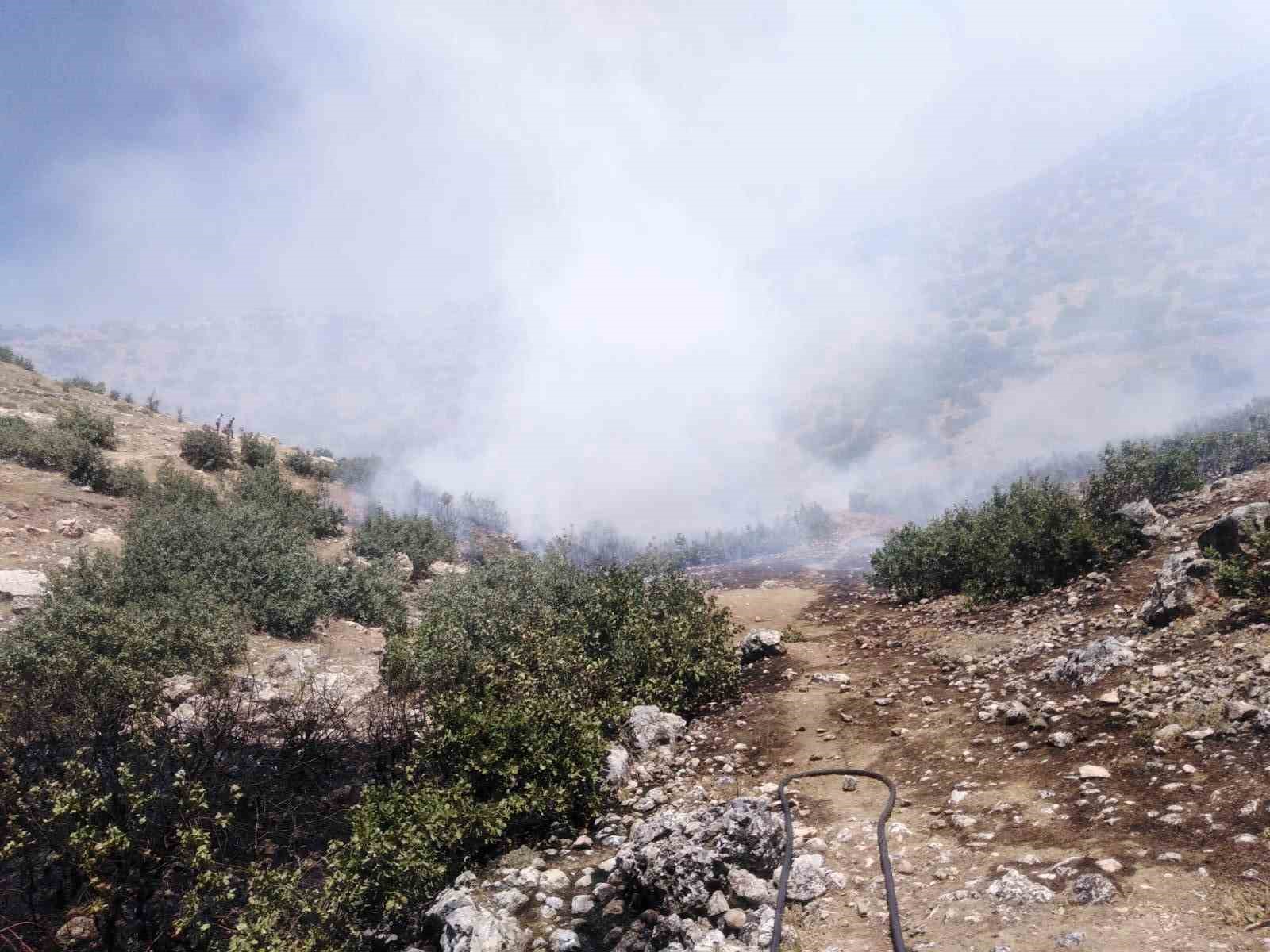Mardin’de ormanlık alanda çıkan yangına müdahale sürüyor
