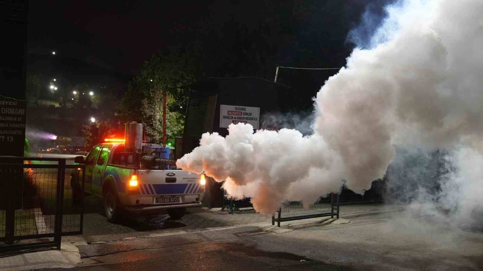 Ke&ccedil;i&ouml;ren&rsquo;de haşere ve sineklere karşı &ouml;nlem
