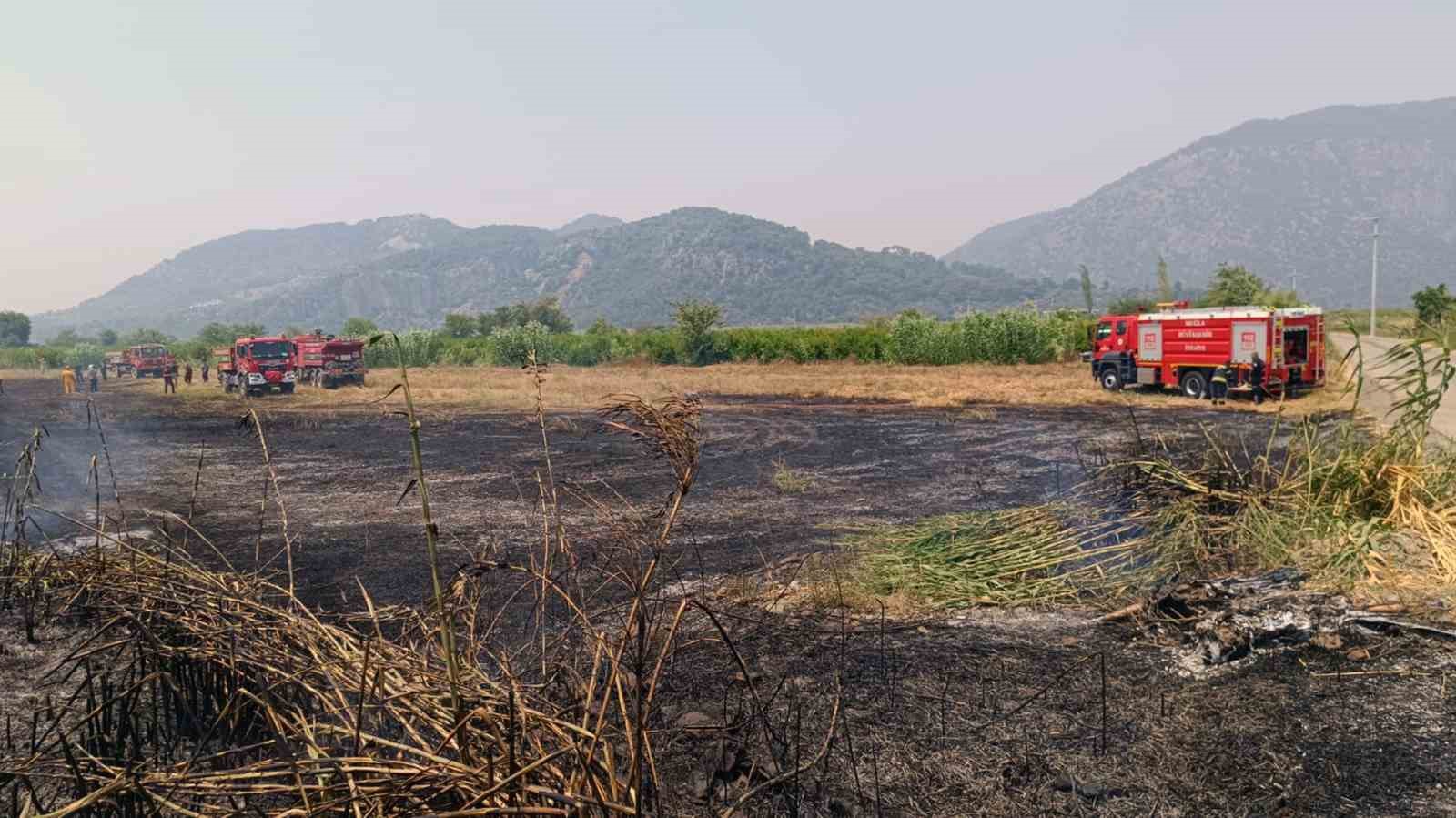 Ortaca’da sazlık yangını