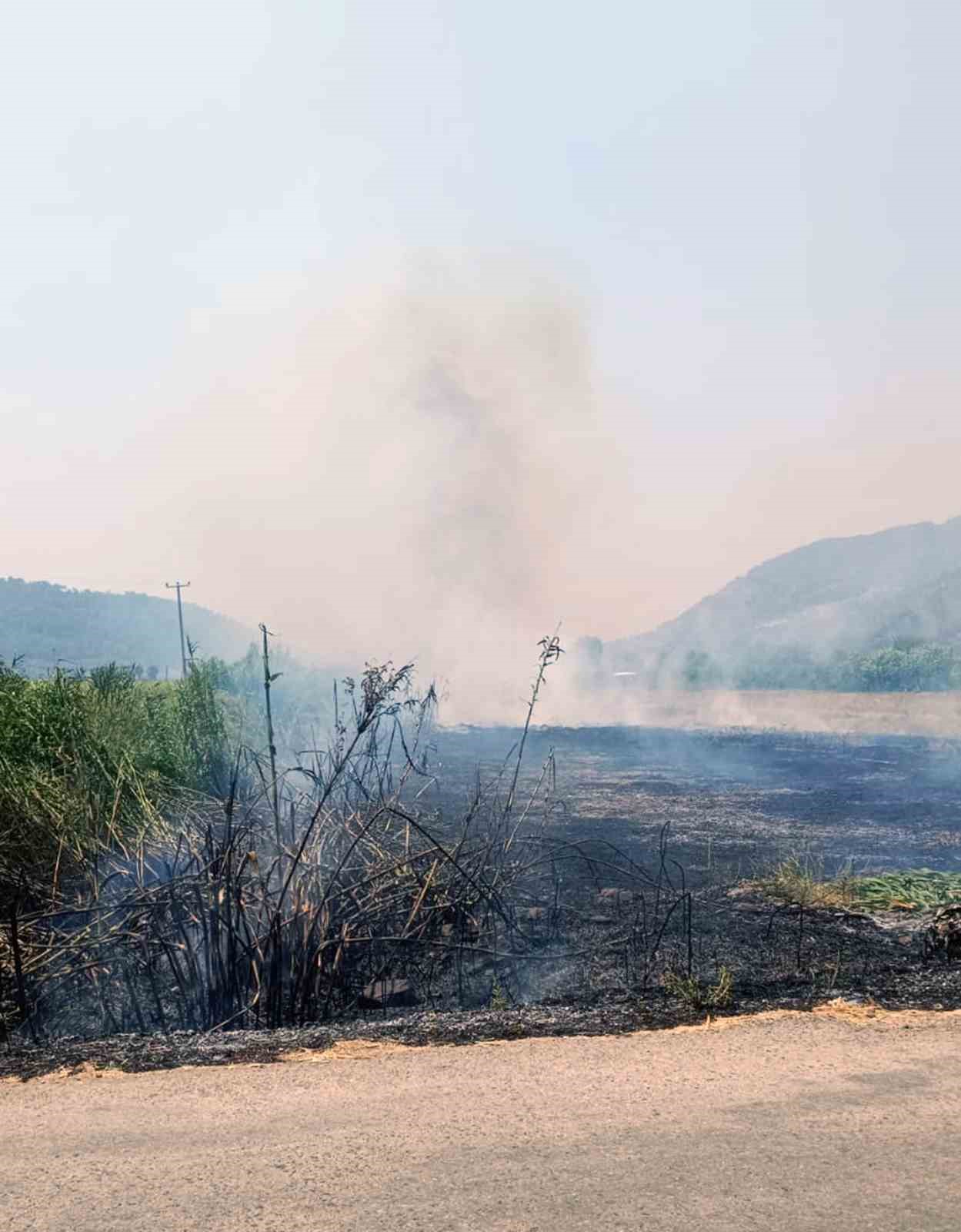 Ortaca&rsquo;da sazlık yangını
