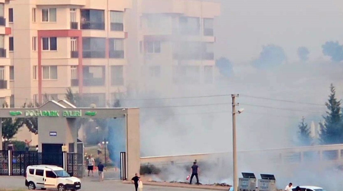 &Ccedil;&ouml;pe atılan sigara izmariti nedeniyle yangın &ccedil;ıktı
