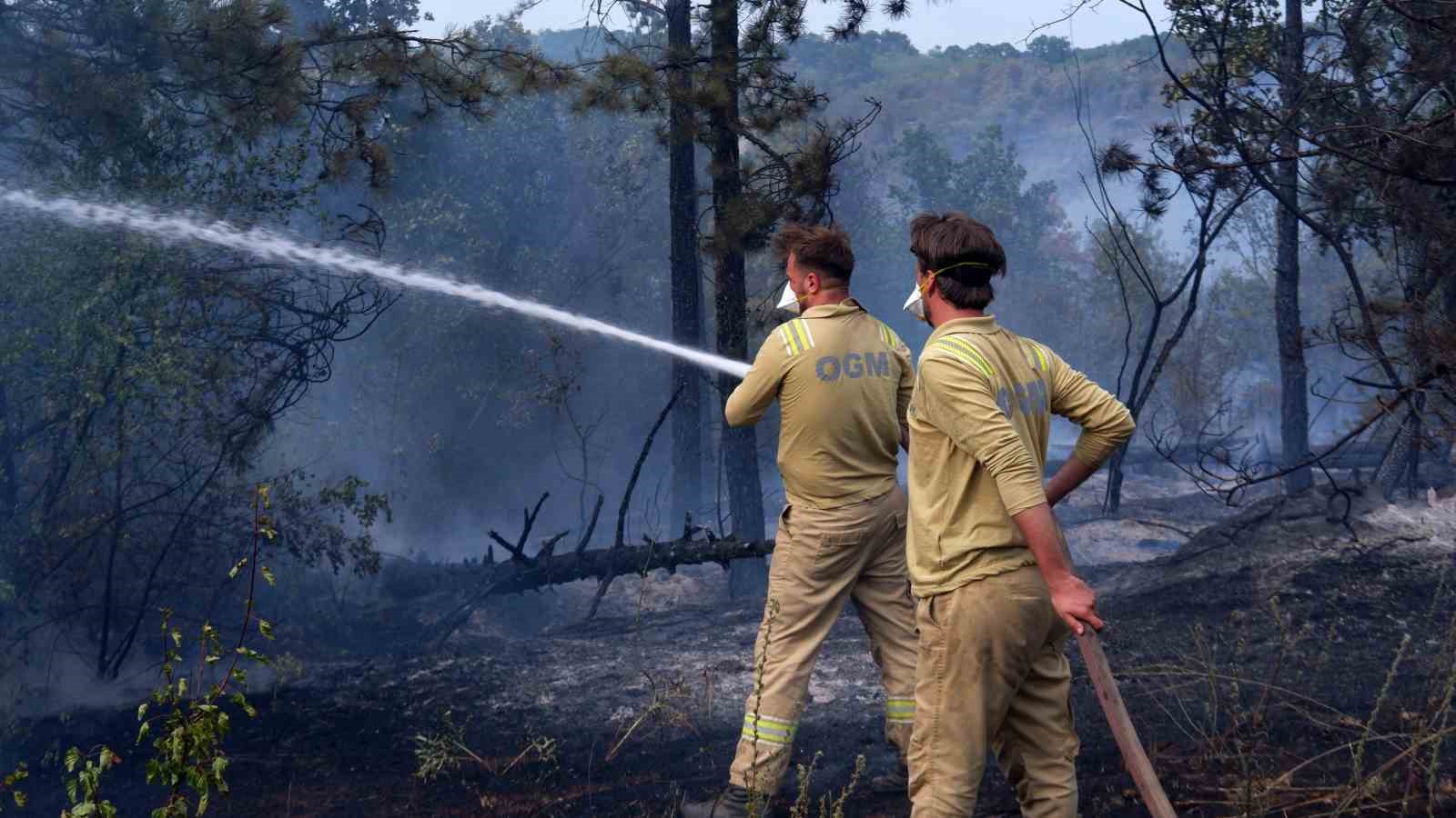 Edirne’de orman yangını: İstanbul, Tekirdağ, Kırklareli ve Edirne Orman ekipleri alarmda