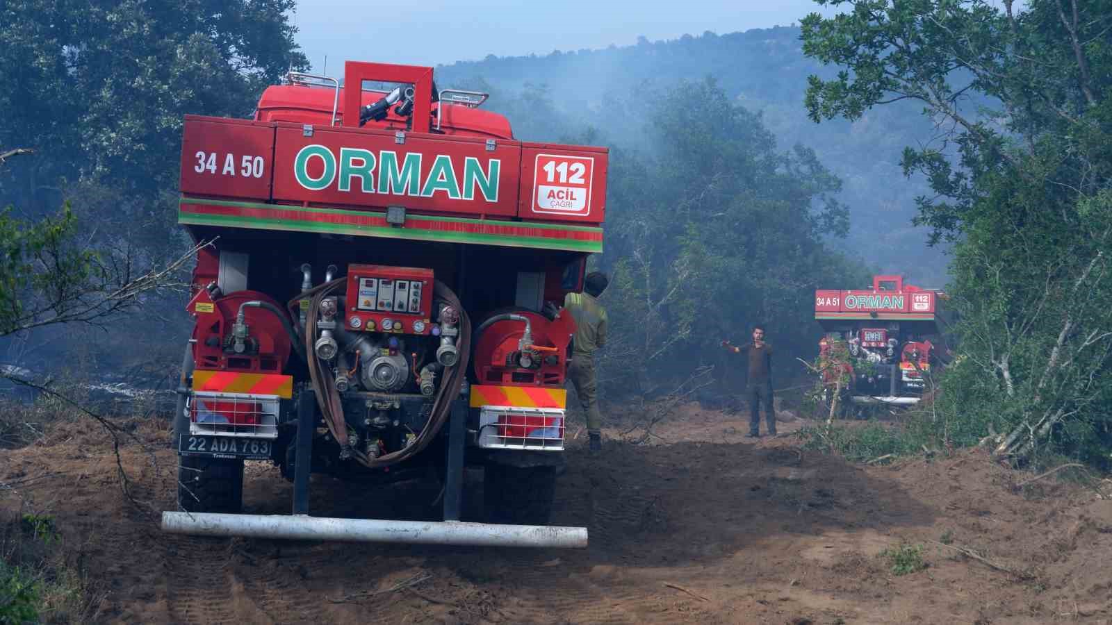 Edirne&rsquo;de orman yangını: İstanbul, Tekirdağ, Kırklareli ve Edirne Orman ekipleri alarmda
