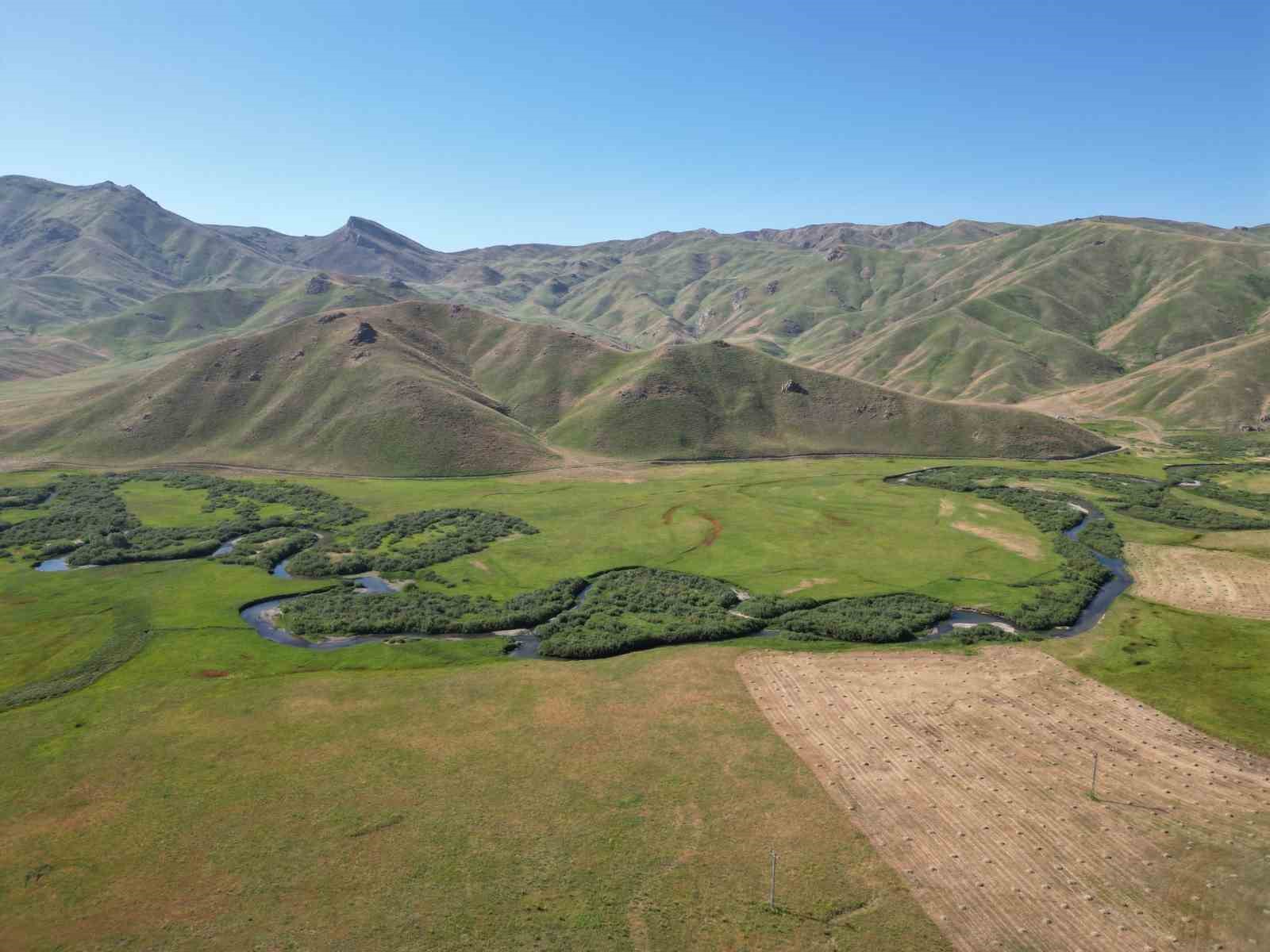 Şırnak’ta dev menderesler havadan görüntülendi