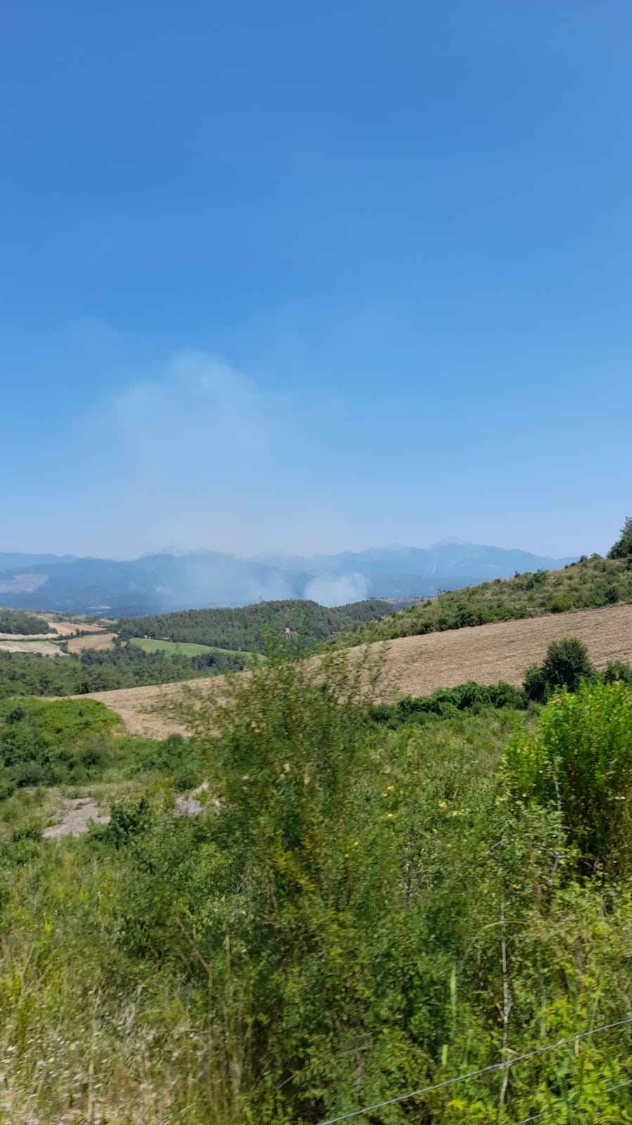Osmaniye’de orman yangını başladı
