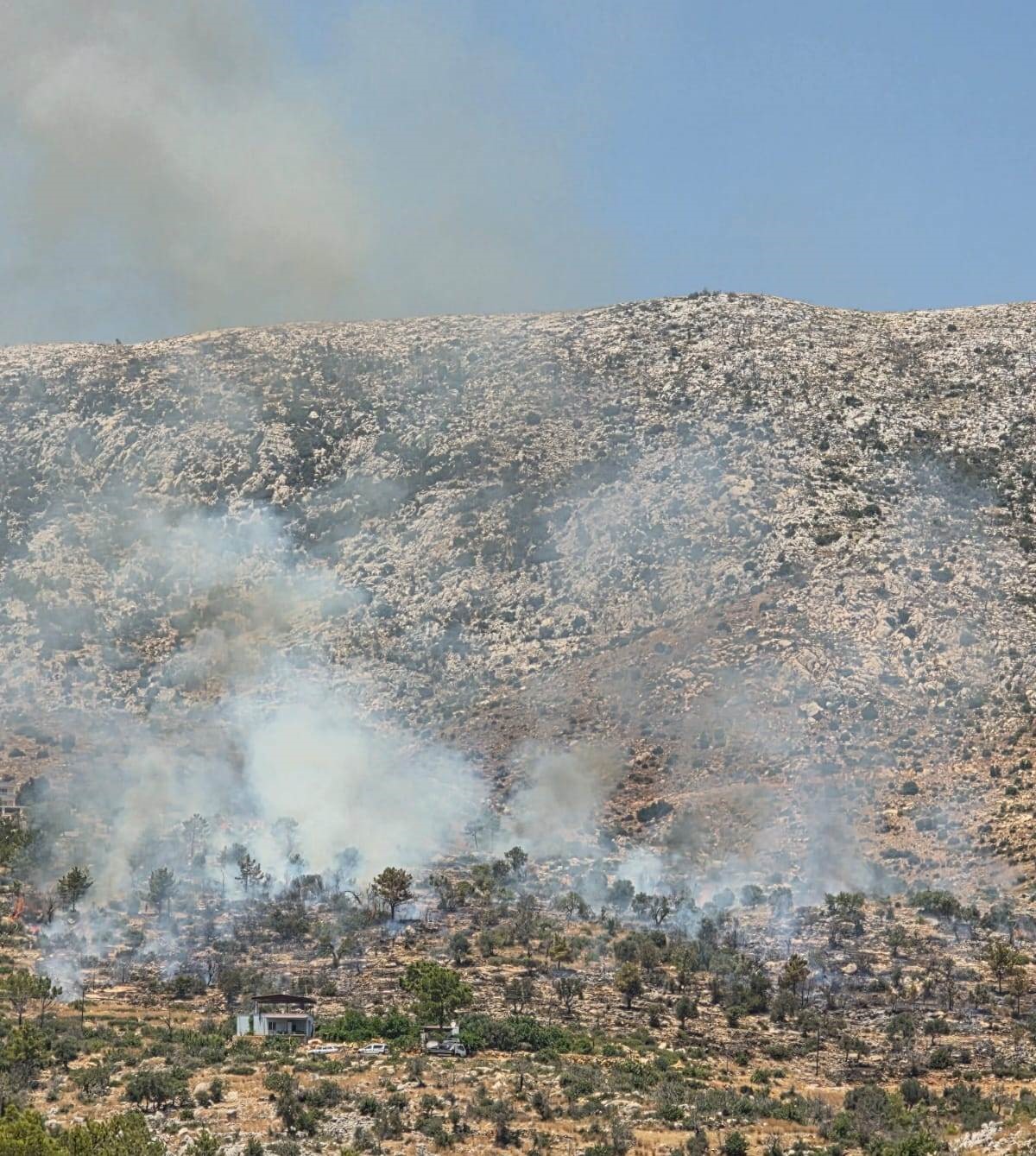 Silifke&rsquo;de ağa&ccedil;lık alanda &ccedil;ıkan yangın kontrol altına alındı
