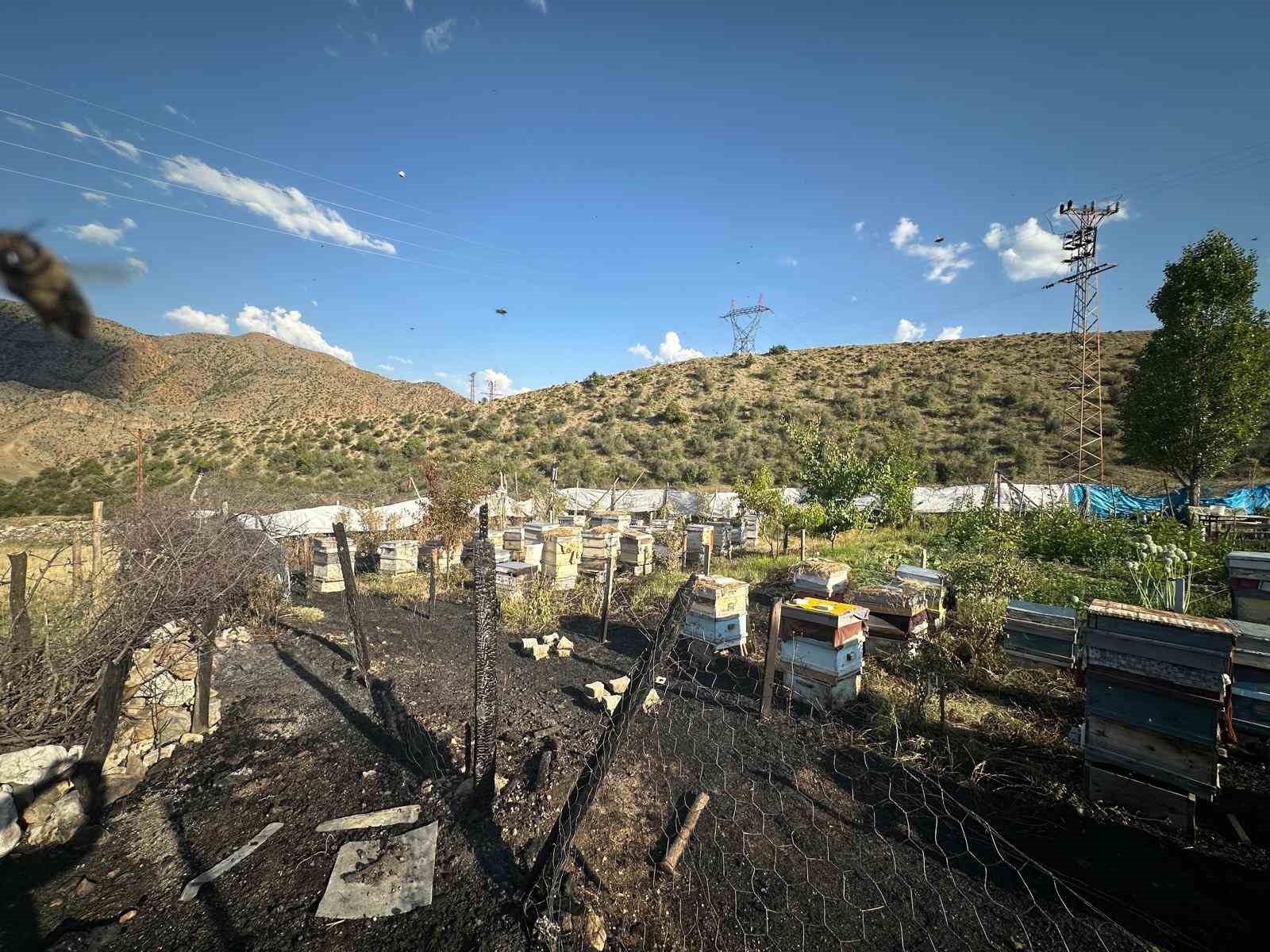 Oltu’da yangın faciası: 30 arı kovanı telef oldu
