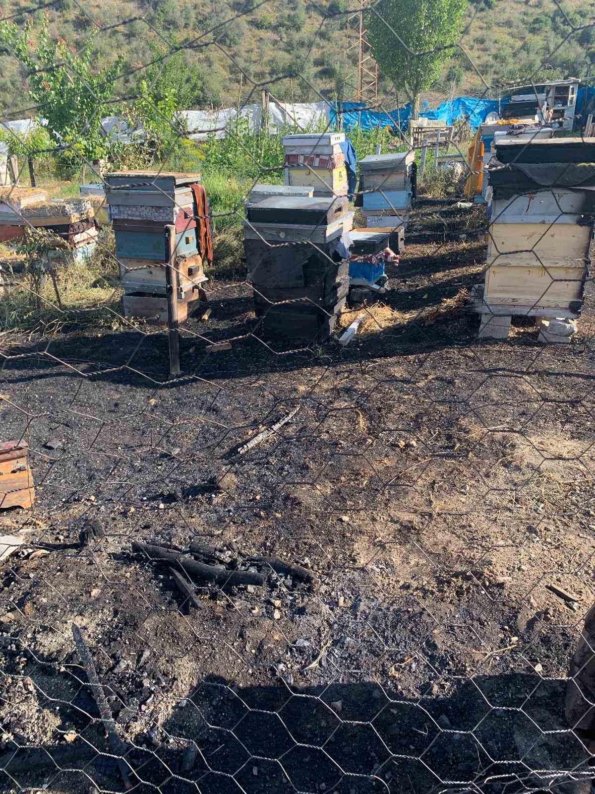 Oltu&rsquo;da yangın faciası: 30 arı kovanı telef oldu
