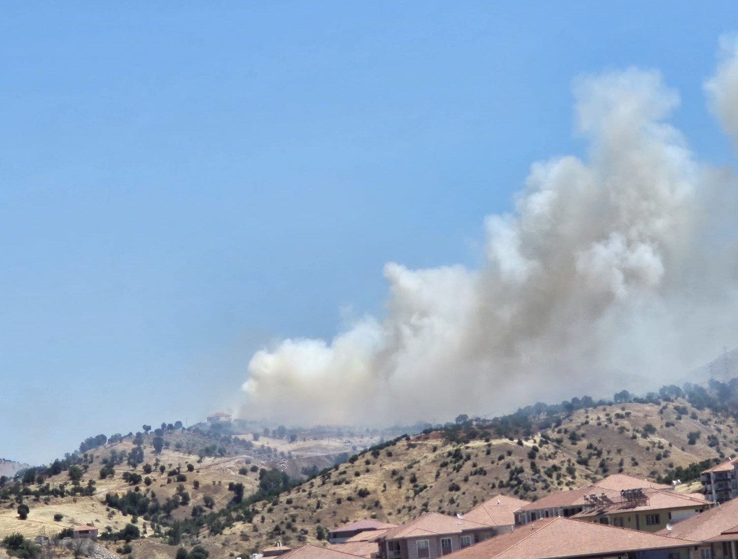Anız yangını ormanlık alana sı&ccedil;radı
