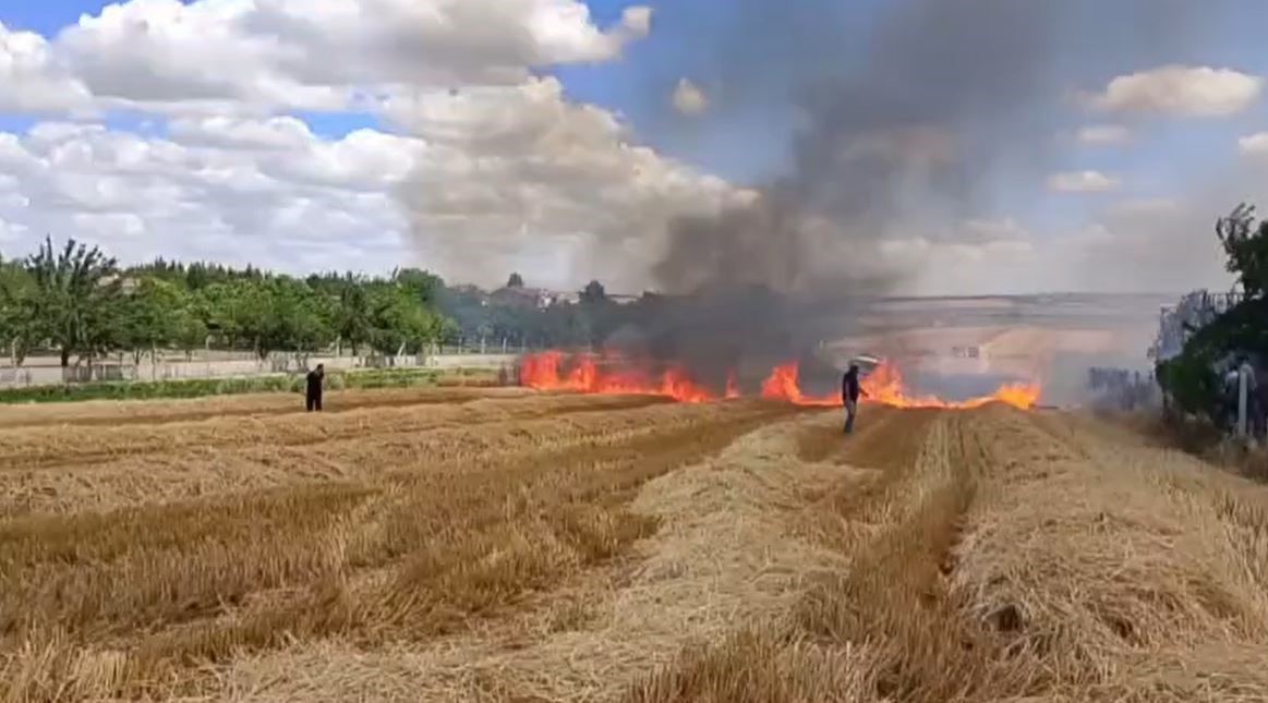 Silivri Çeltik Mahallesi’ndeki tarla yangını evlere ulaşmadan kontrol altına alındı