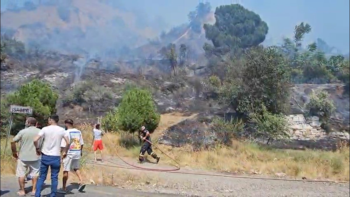 Nazilli&rsquo;de tarım arazisinde yangın &ccedil;ıktı
