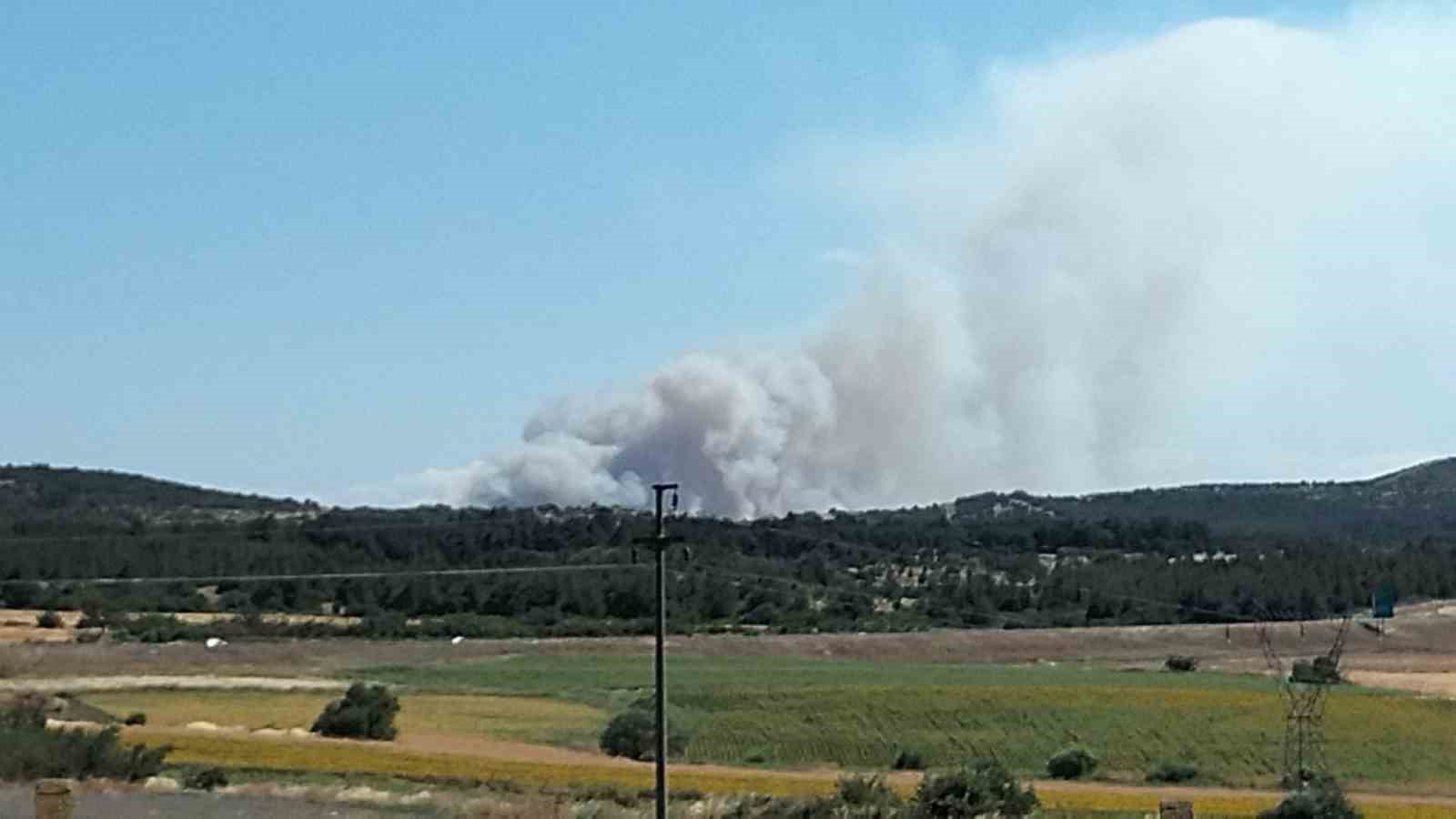 Çanakkale’de tarım arazisinde yangın