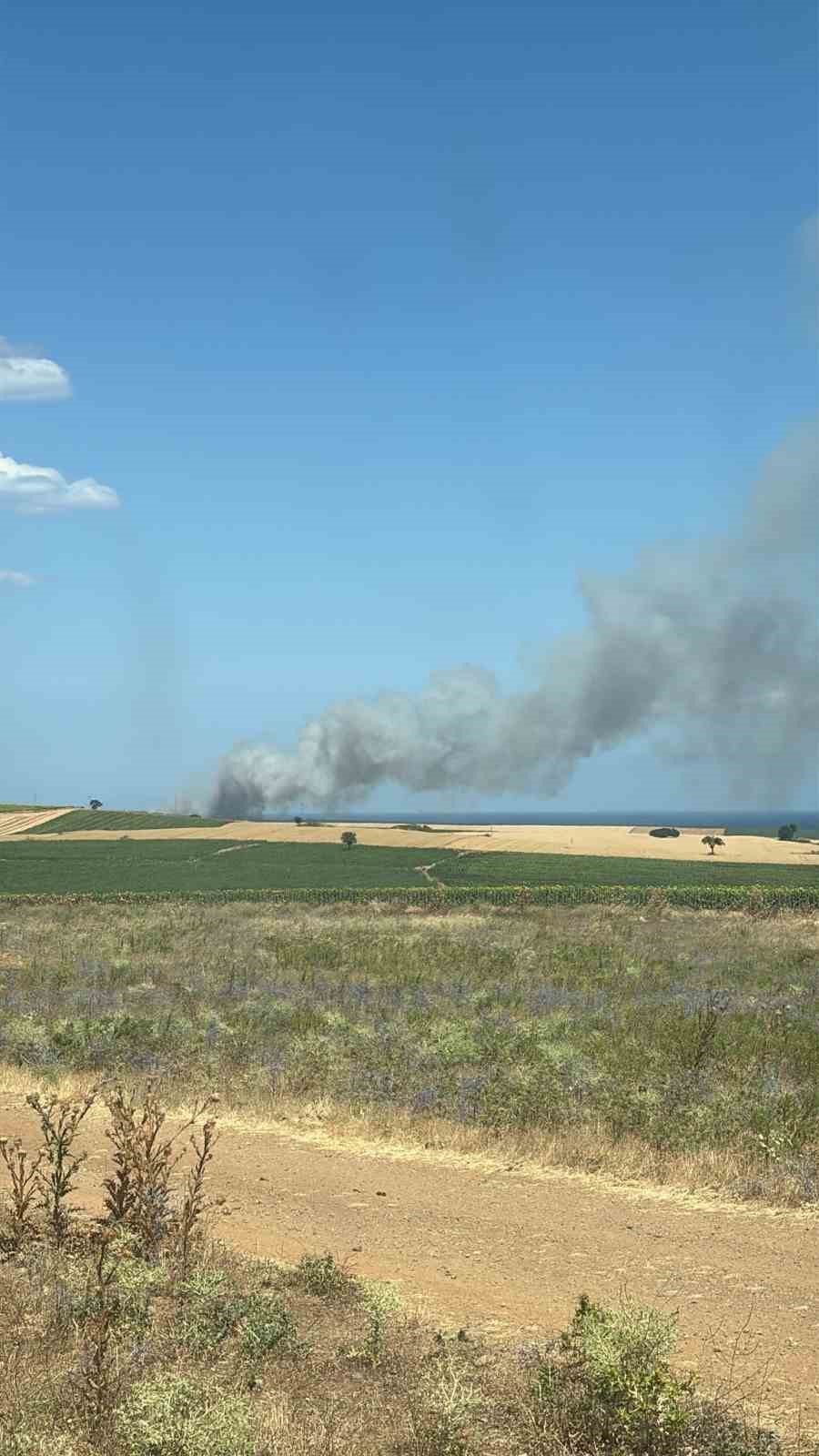 &Ccedil;anakkale&rsquo;de tarım arazisinde yangın

