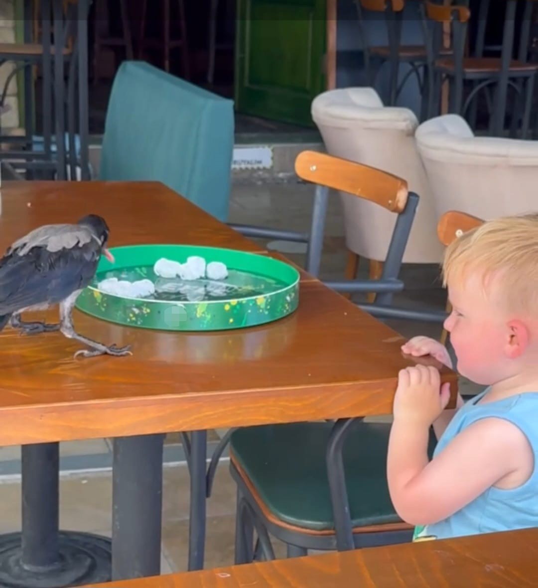 Sıcağa dayanamayan karga &ccedil;arşı &ccedil;arşı dolaşıp su i&ccedil;ti, karnını doyurdu
