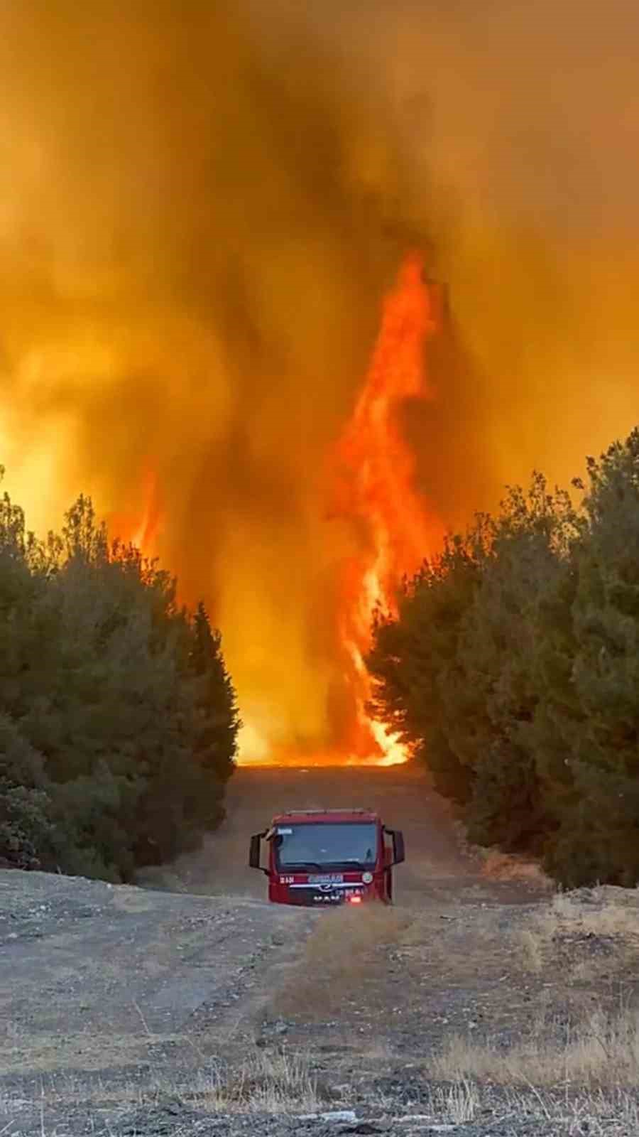 Alevlerin arasında kalan orman ekibi son anda kurtuldu
