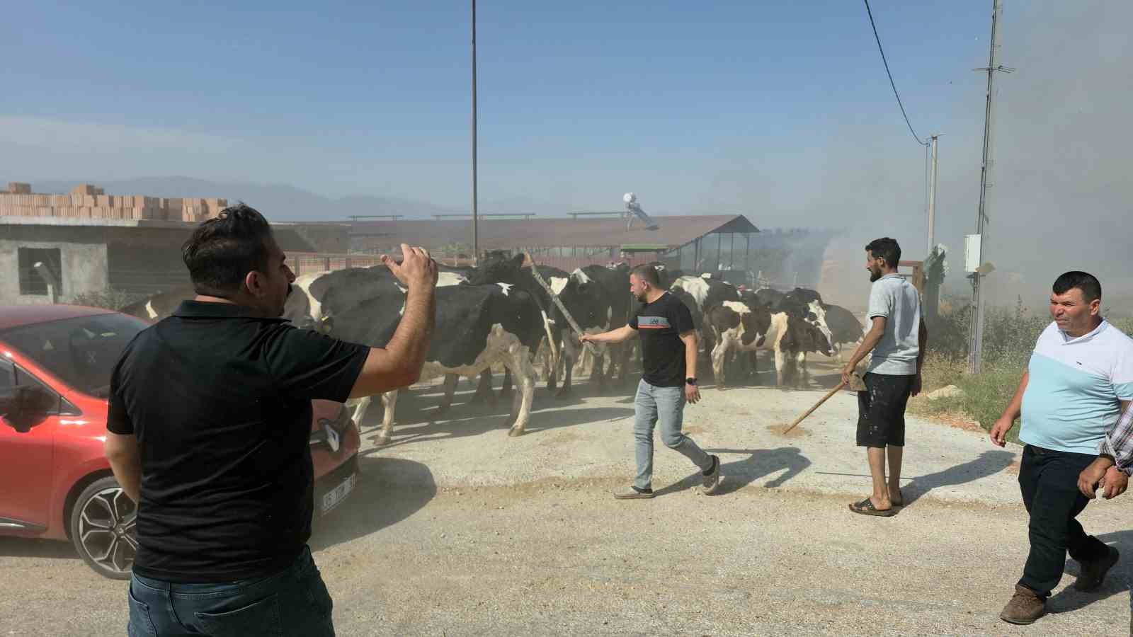 Tire’de makilik alandaki yangın köye sıçradı, bazı evler ve damlar küle döndü