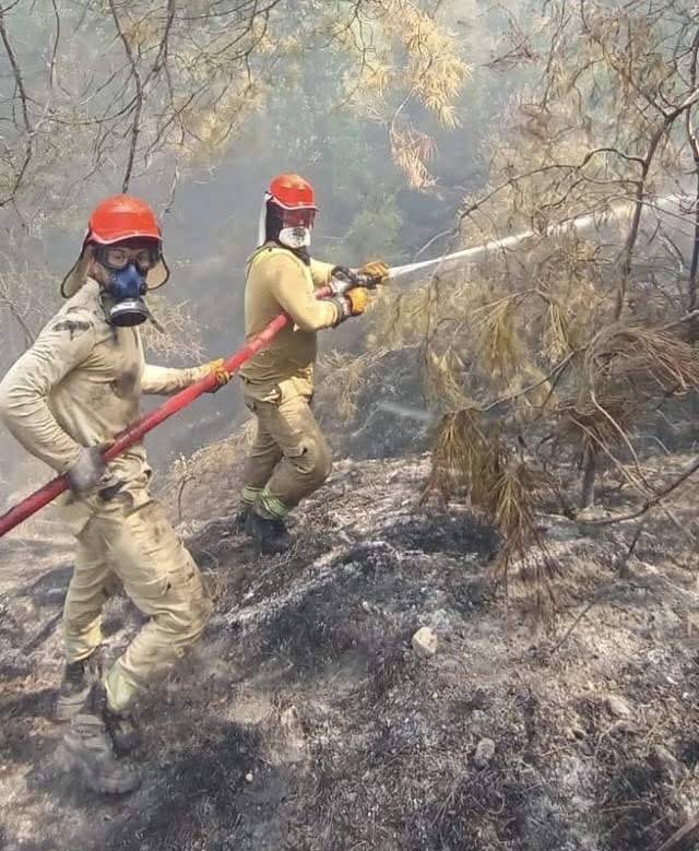 Osmaniye&rsquo;de &ccedil;ıkan orman yangını s&ouml;nd&uuml;r&uuml;ld&uuml;
