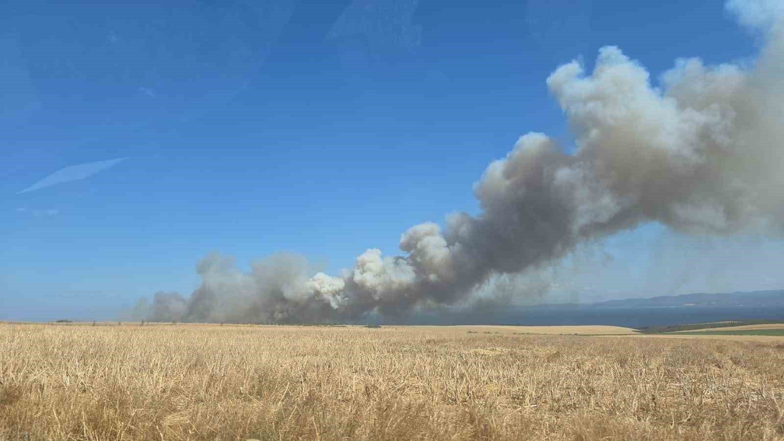 Çanakkale’de yangında yaklaşık 100 dönümlük alan zarar gördü