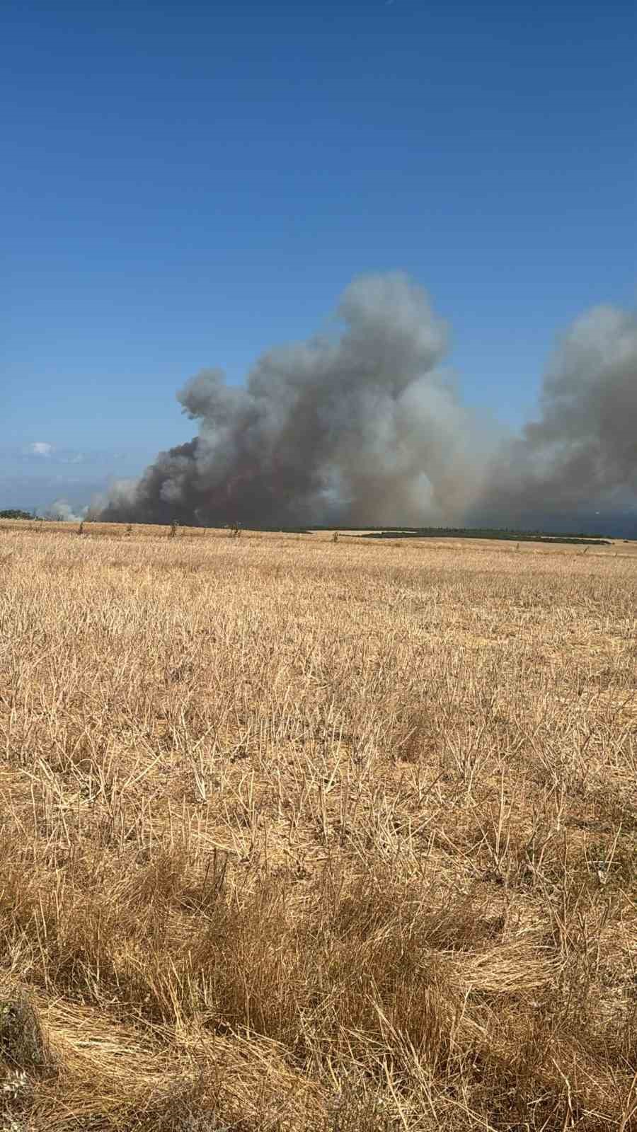&Ccedil;anakkale&rsquo;de yangında yaklaşık 100 d&ouml;n&uuml;ml&uuml;k alan zarar g&ouml;rd&uuml;
