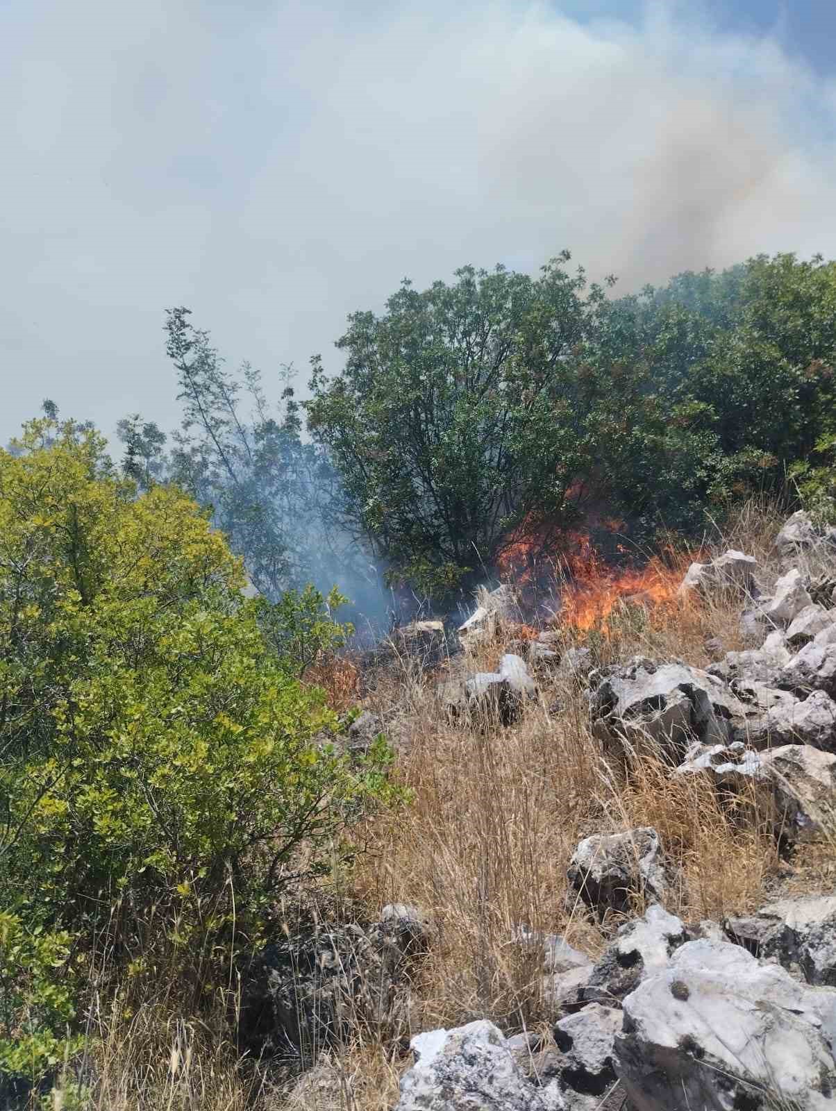 Balıkesir&rsquo;in Altıeyl&uuml;l il&ccedil;esinde 2 arazi yangını
