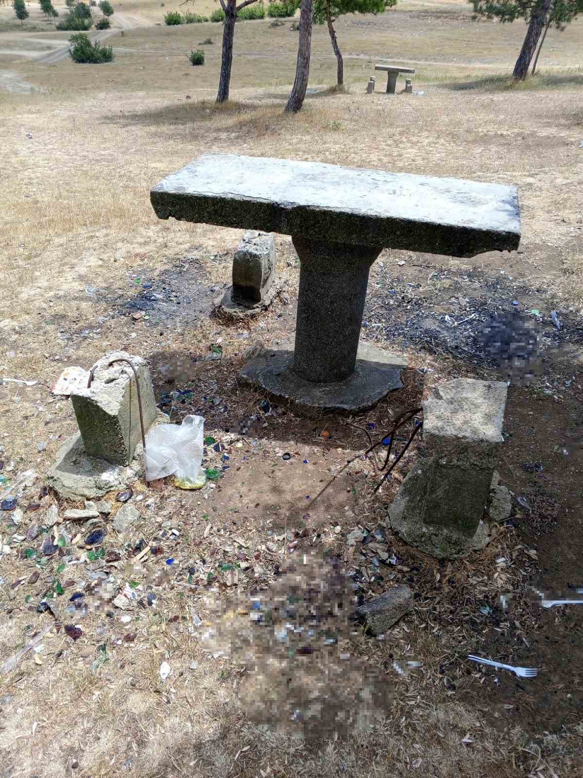 Mesire alanındaki oturma alanlarına zarar verdiler