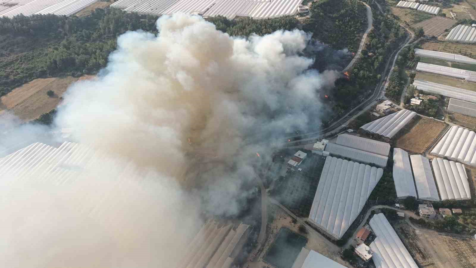 Antalya’da orman yangını